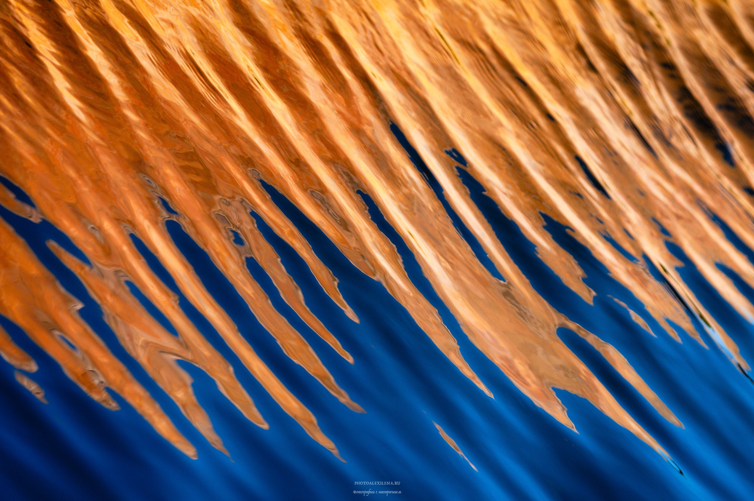 Отражение в воде. Авторские стильные фотокартины