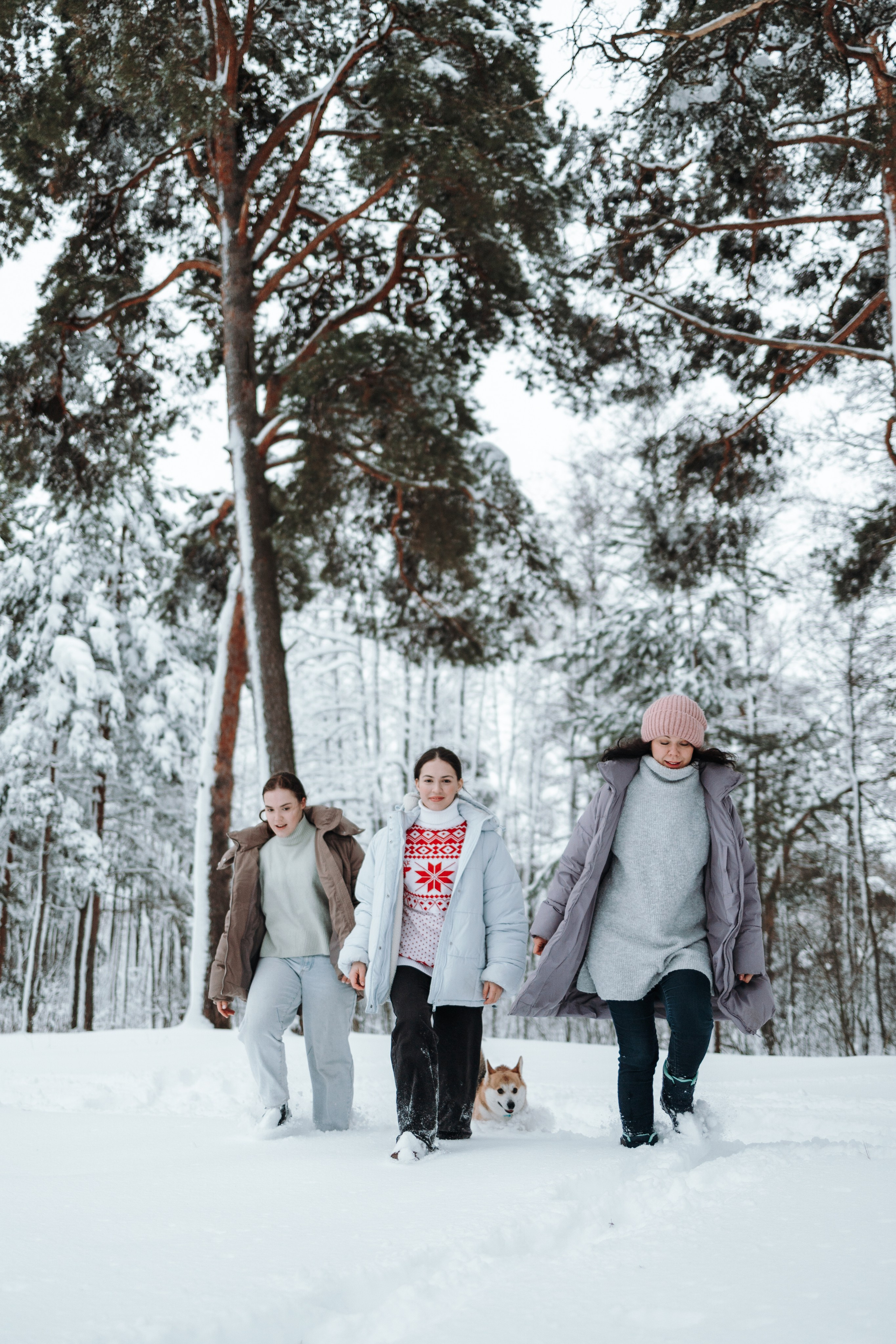 Оливка и ее семья. Фотограф — Анималист | Санкт-Петербург