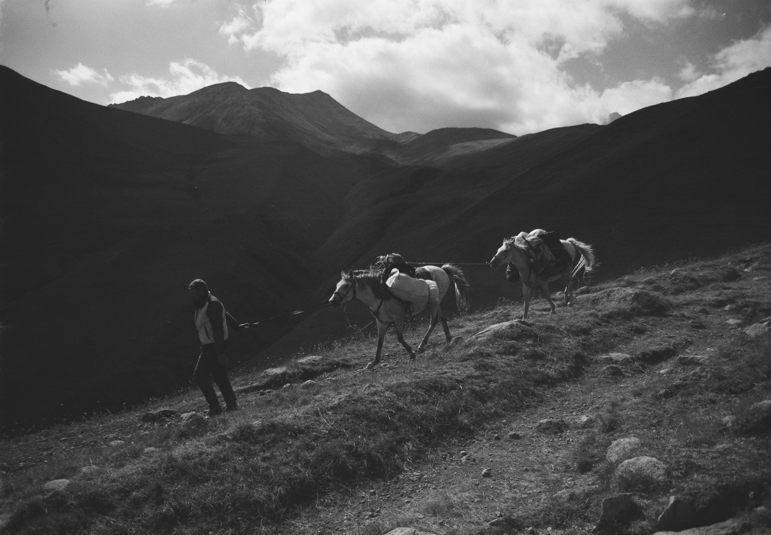 Пленка. Photo_artist