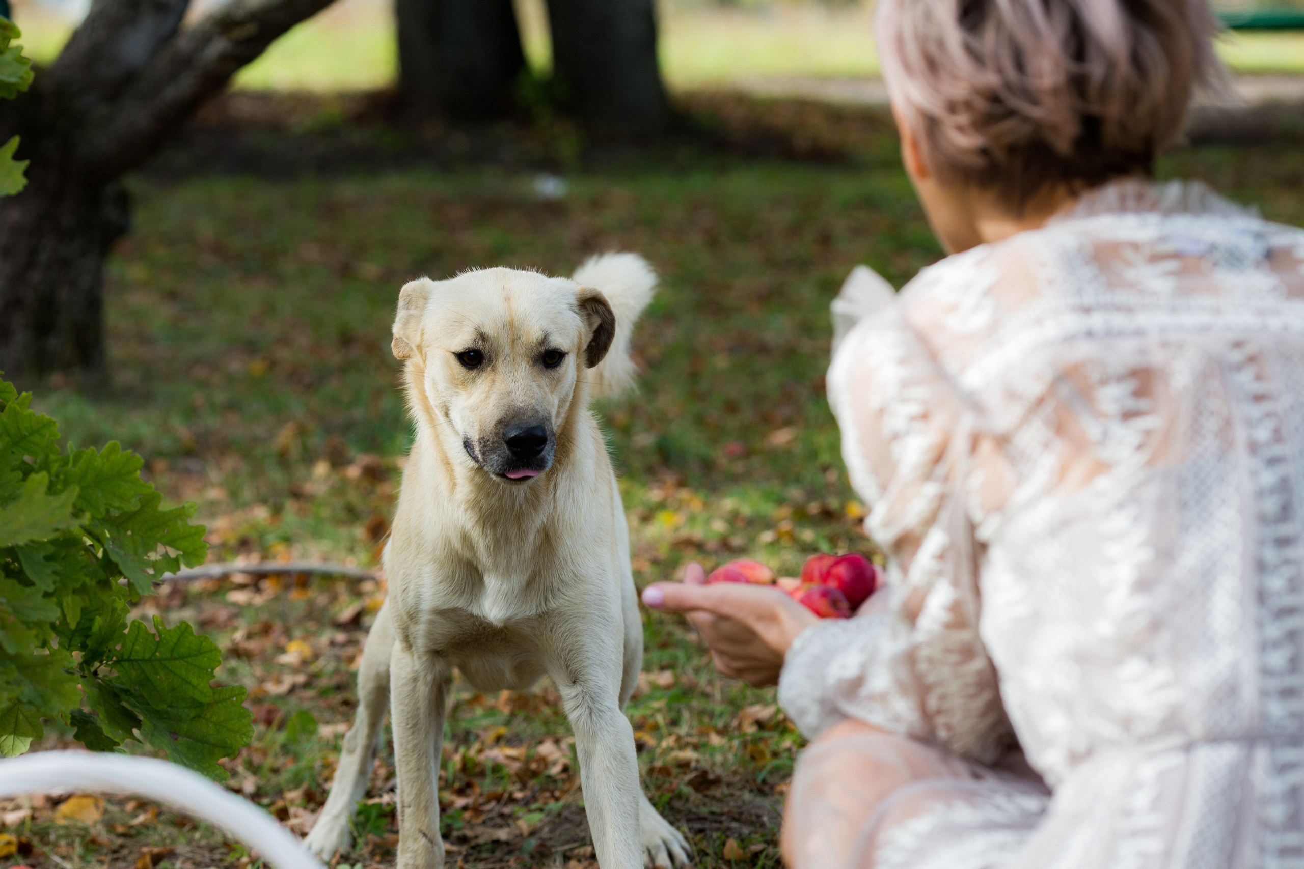 Street photos. Фотохудожник
