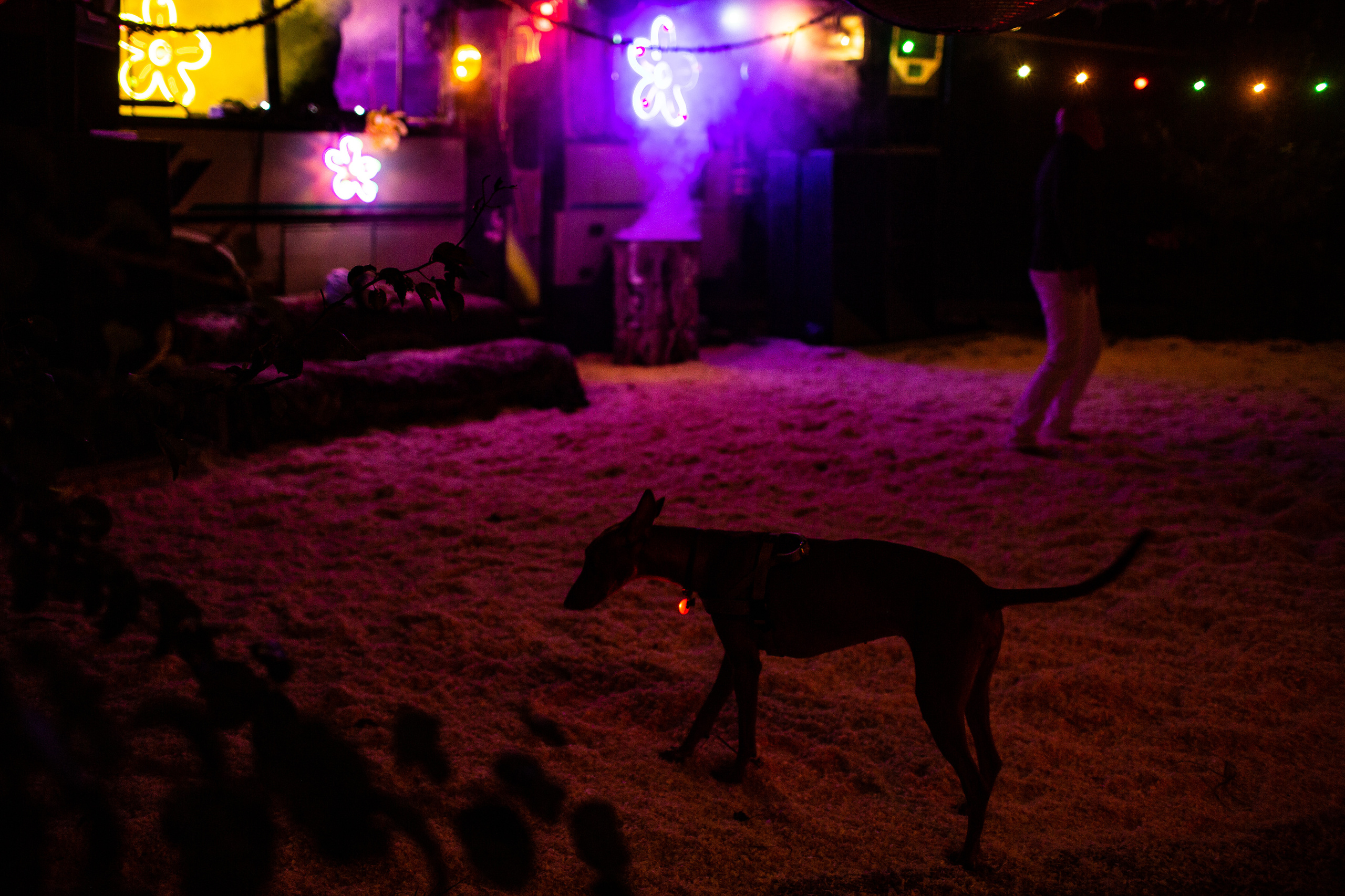 Festival. Фотохудожник