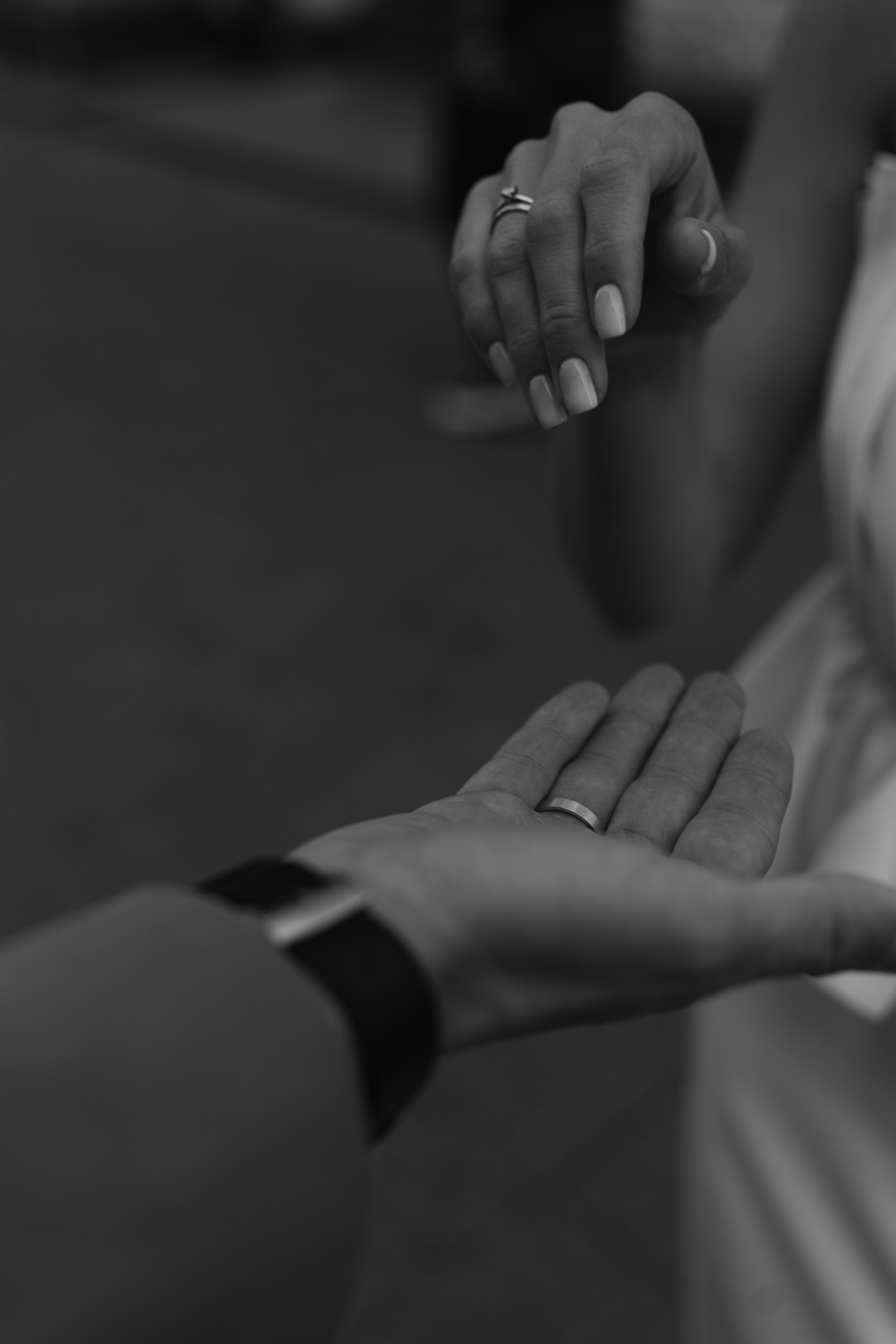 К & М Грибоедовский загс. Женский и свадебный фотограф Москва Елизавета Перова