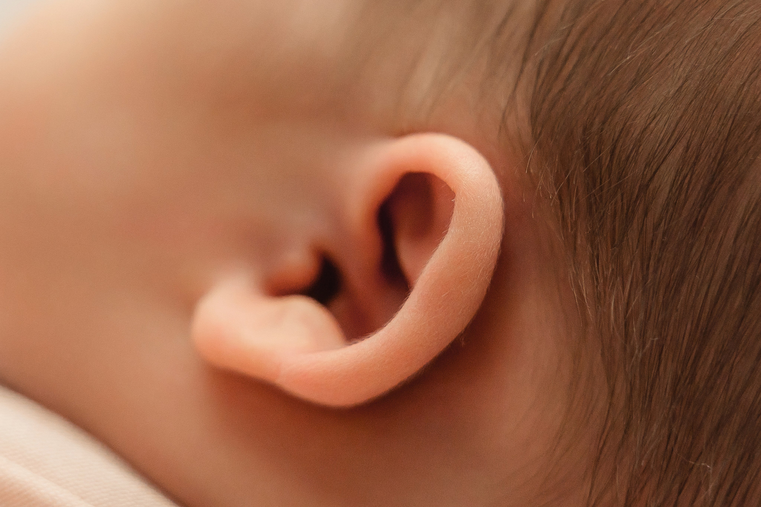 Пакет № 2 Оптимальный. Фотограф Москва Подольск МО