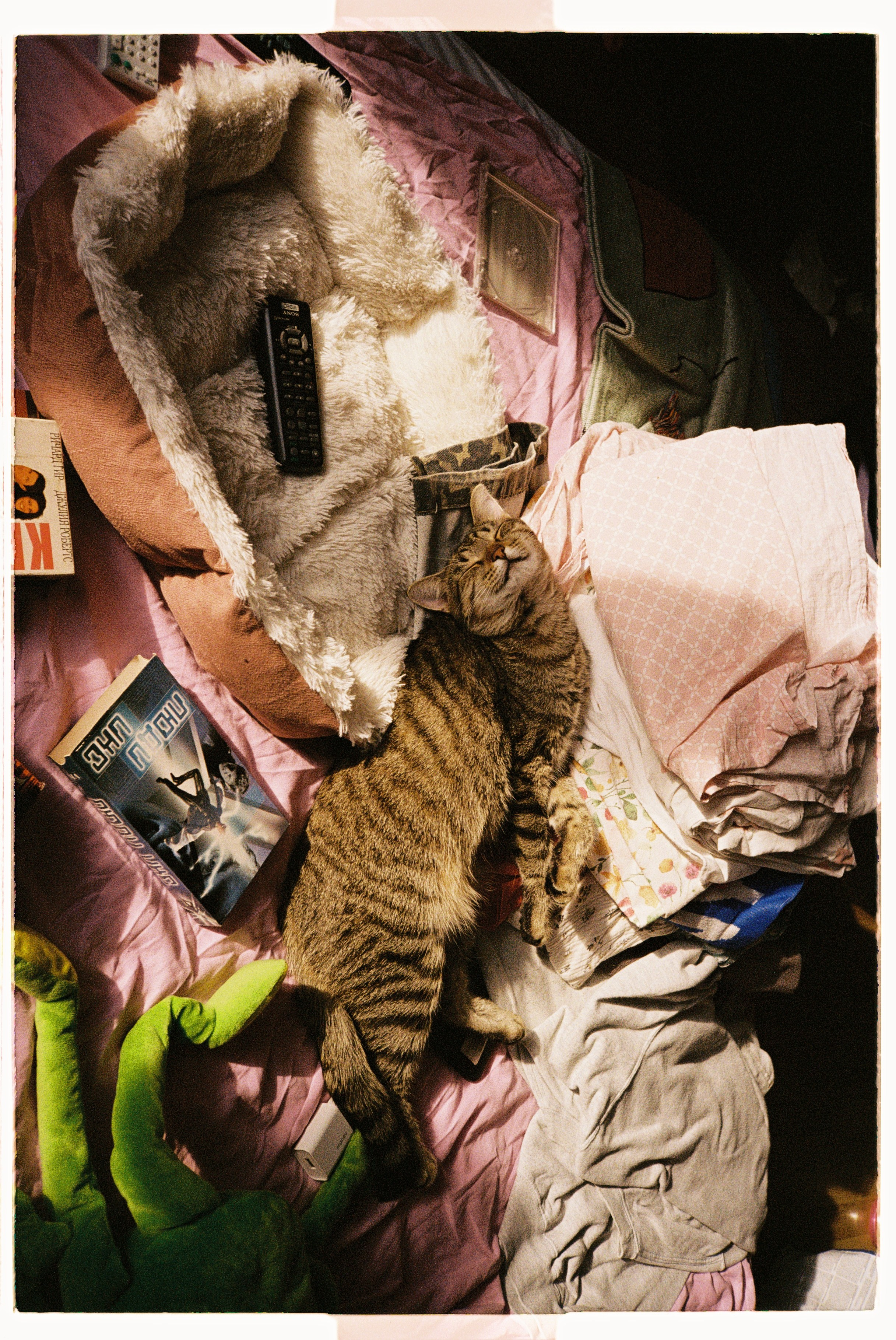 Марго. Главная