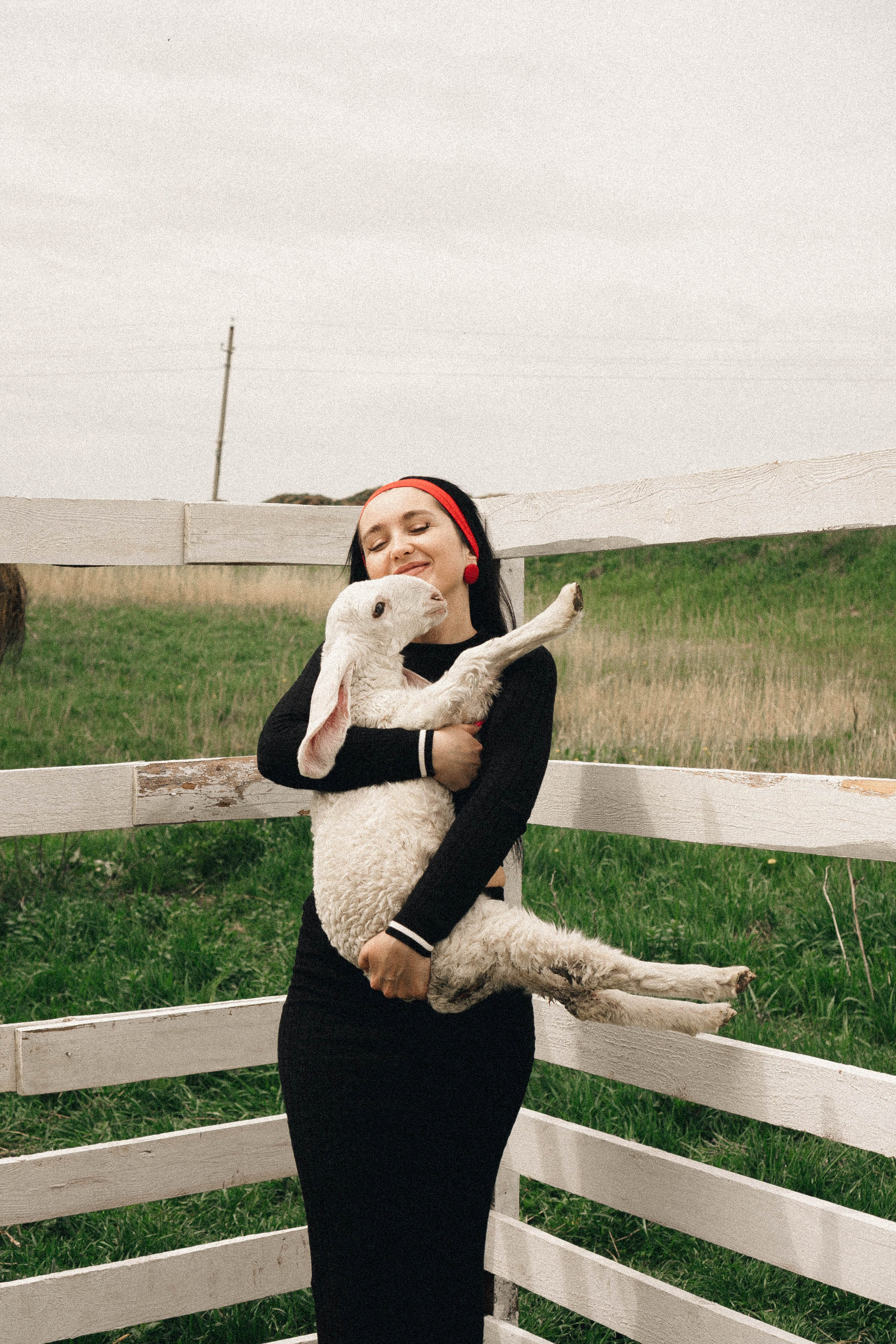 Ферма Альпак. Профессиональный фотограф, Санкт-Петербург — Виктория Богомолова