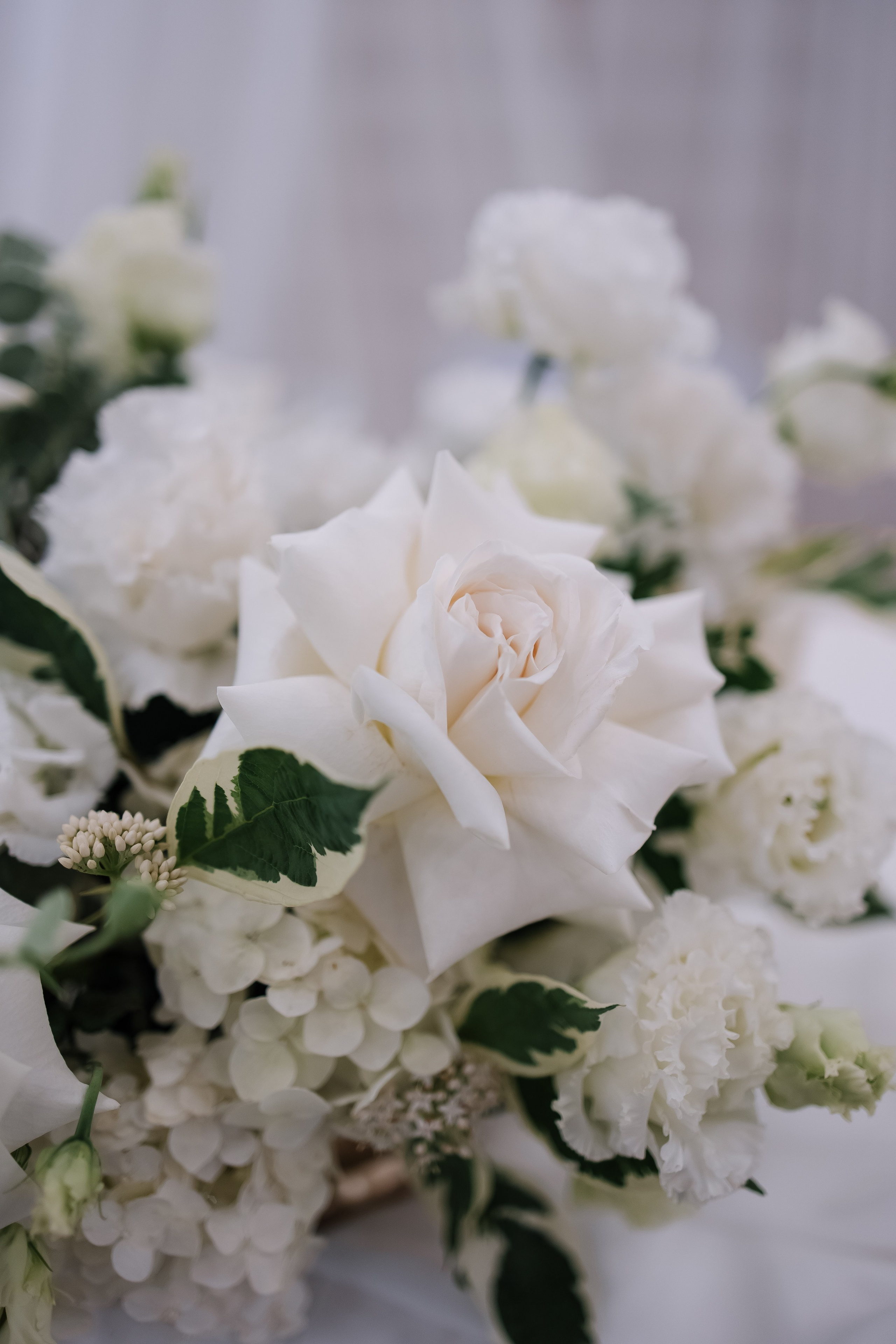 Егор/Арина. Свадебный фотограф