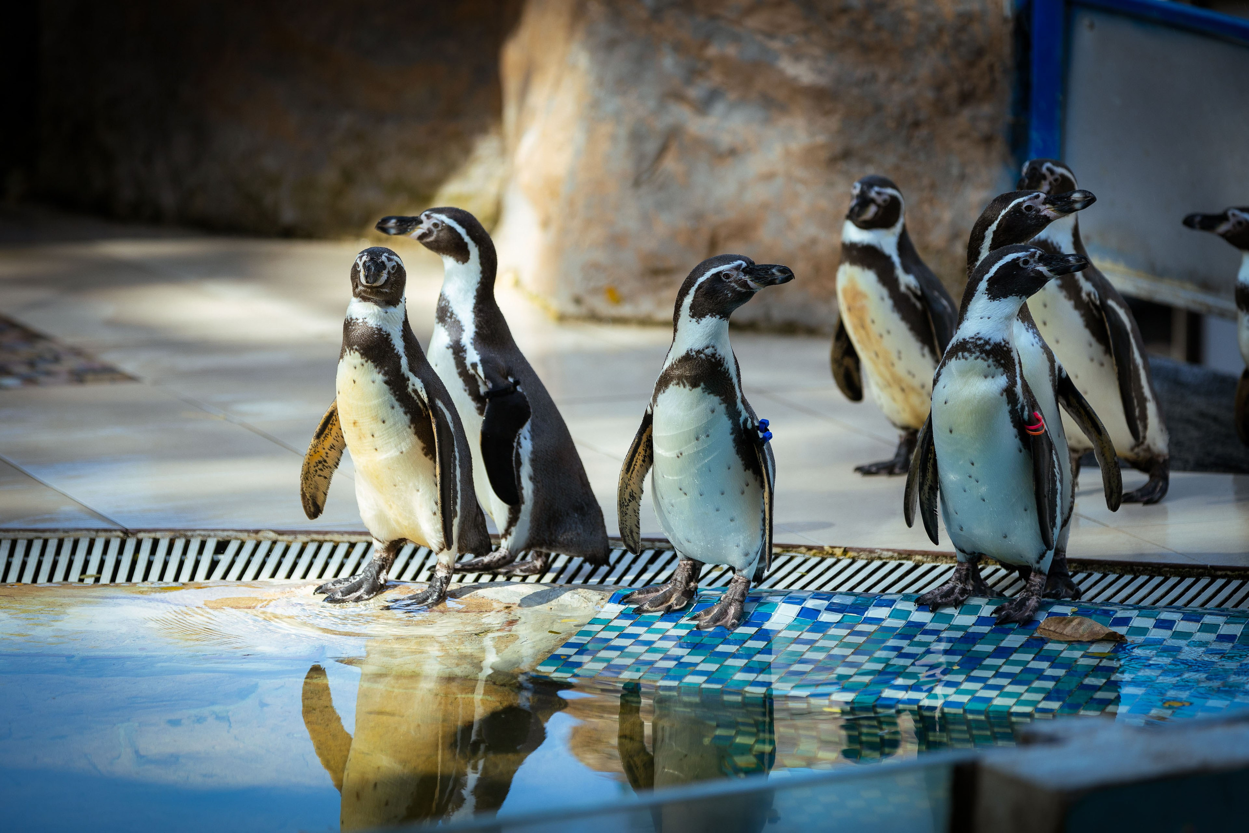 Таиланд (зима 2025). Фотограф Виноградов Константин