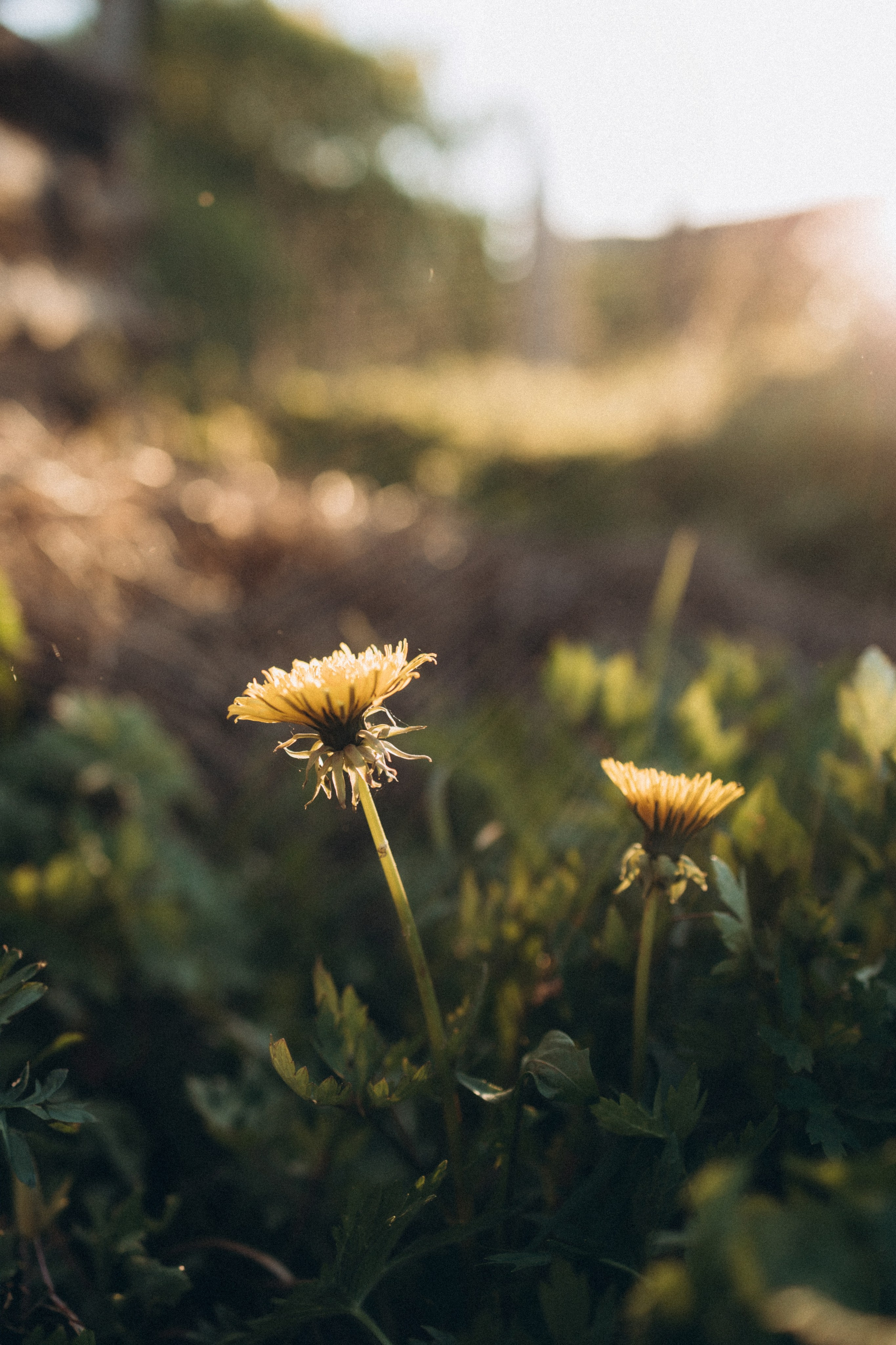 Надежда. Фотограф Елена Рябцева