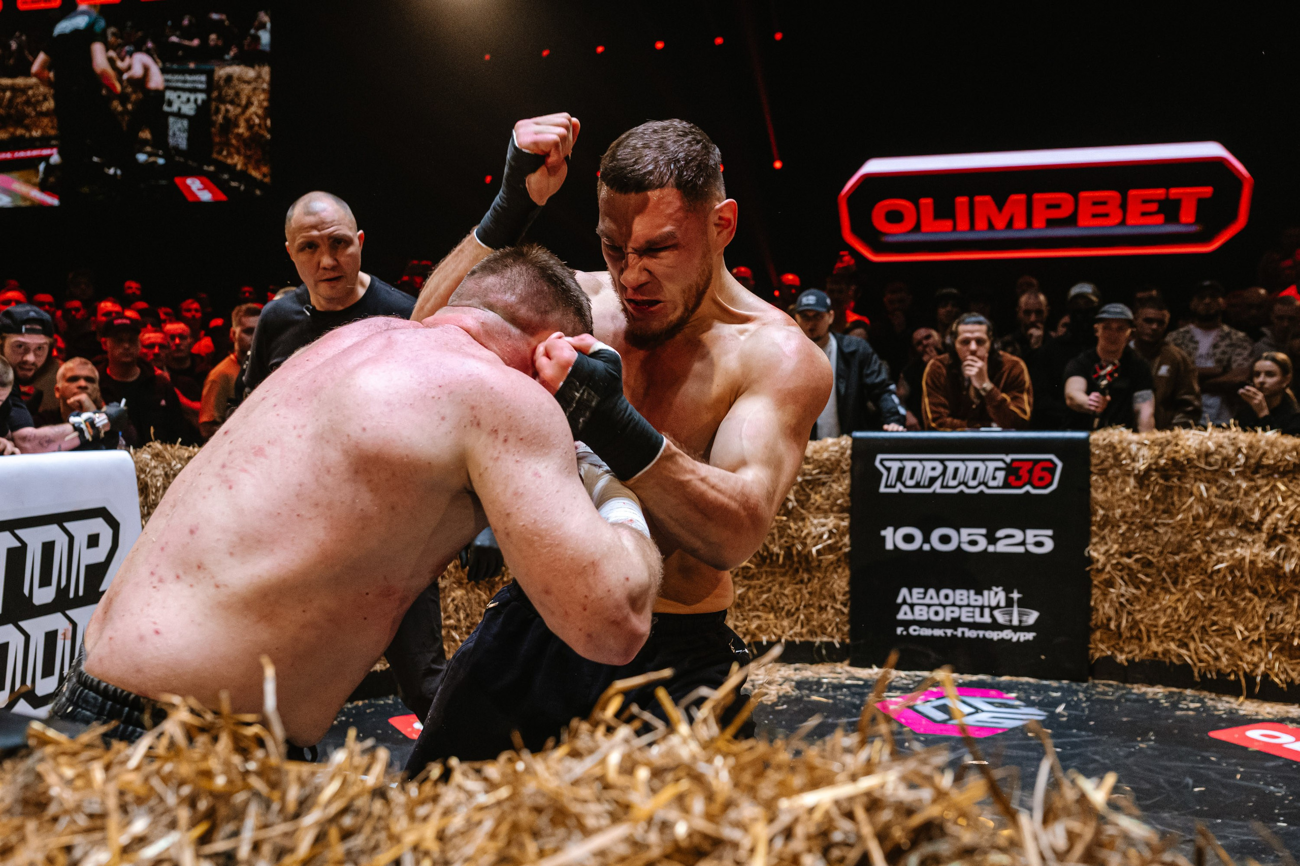 TOP DOG 2. Максим Комаров — Профессиональный фотограф