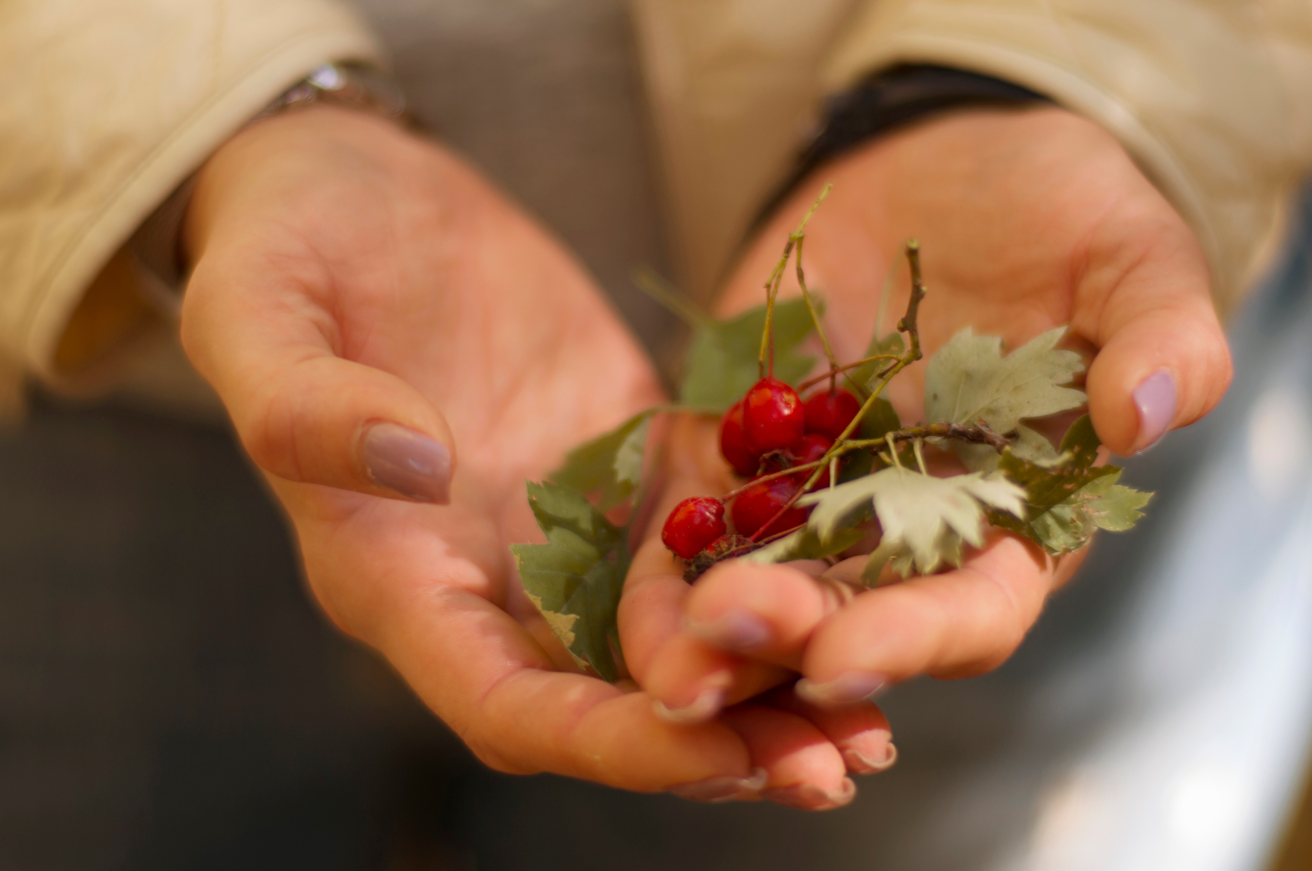 Индивидуальная фотосъемка. Фотограф Катерина Тюрина. Саратов