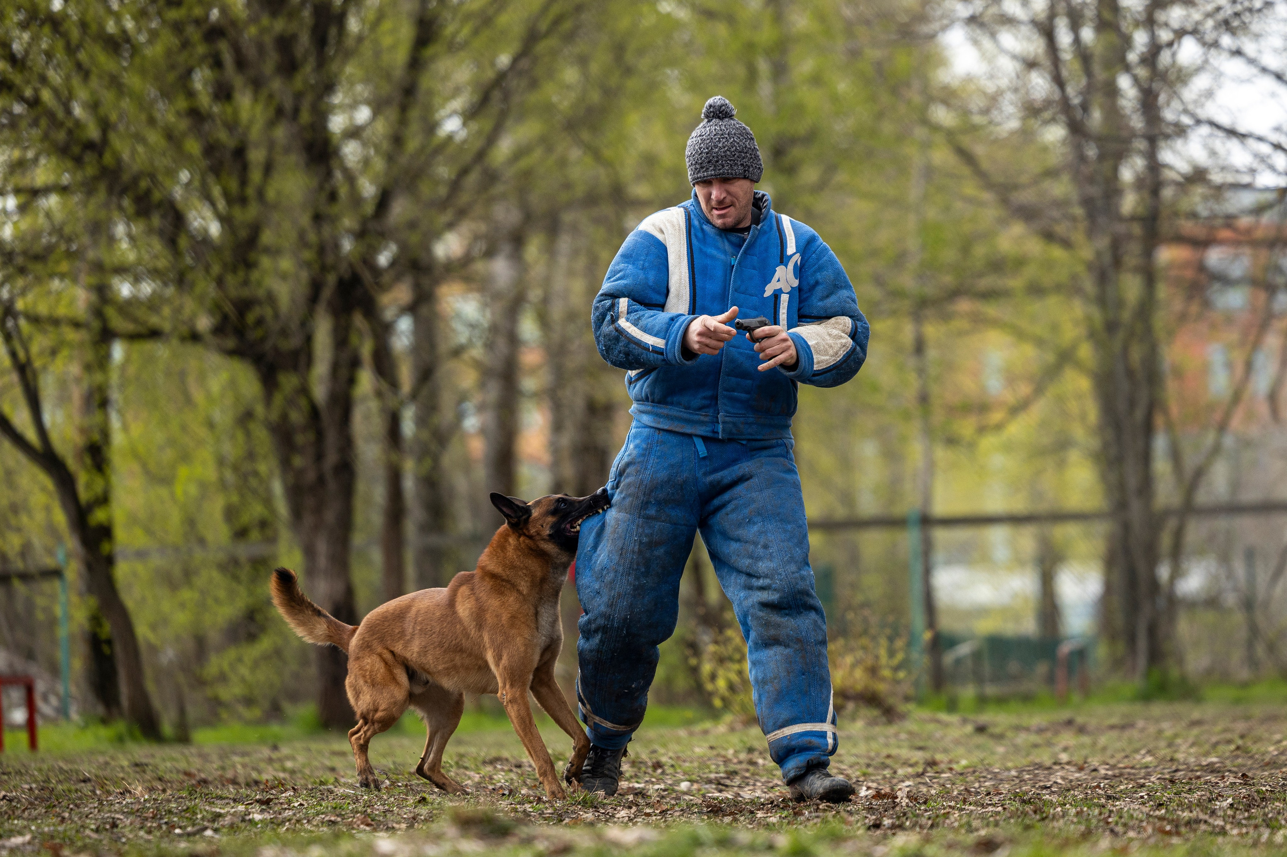 Квалификационные состязания по мондьорингу г. Вологда 11.05.24. Фотограф-анималист Анна Маринич