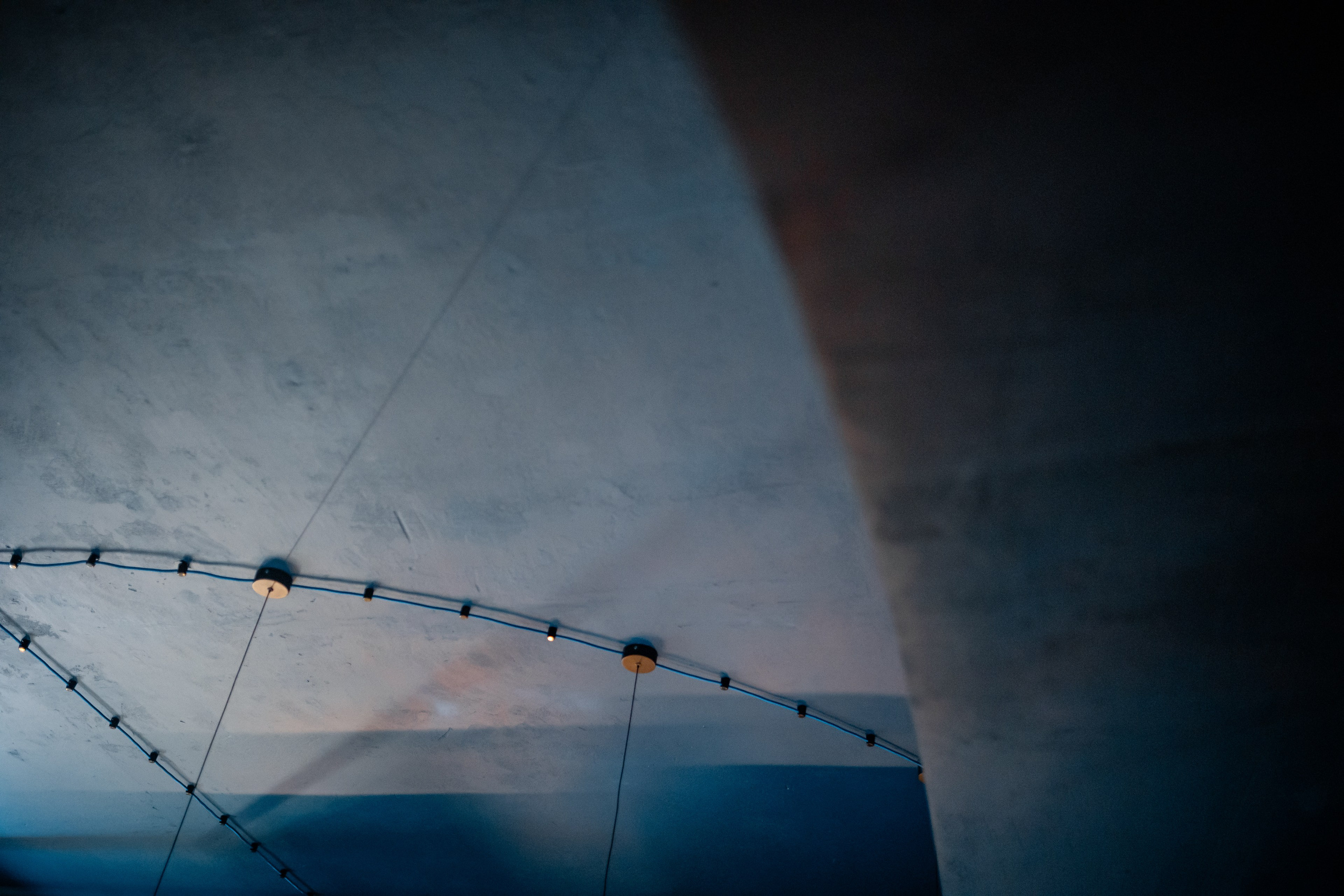 ВОЛЬНОСТЬ. Фотограф Елена Богачева (lenalena_na_na_na)