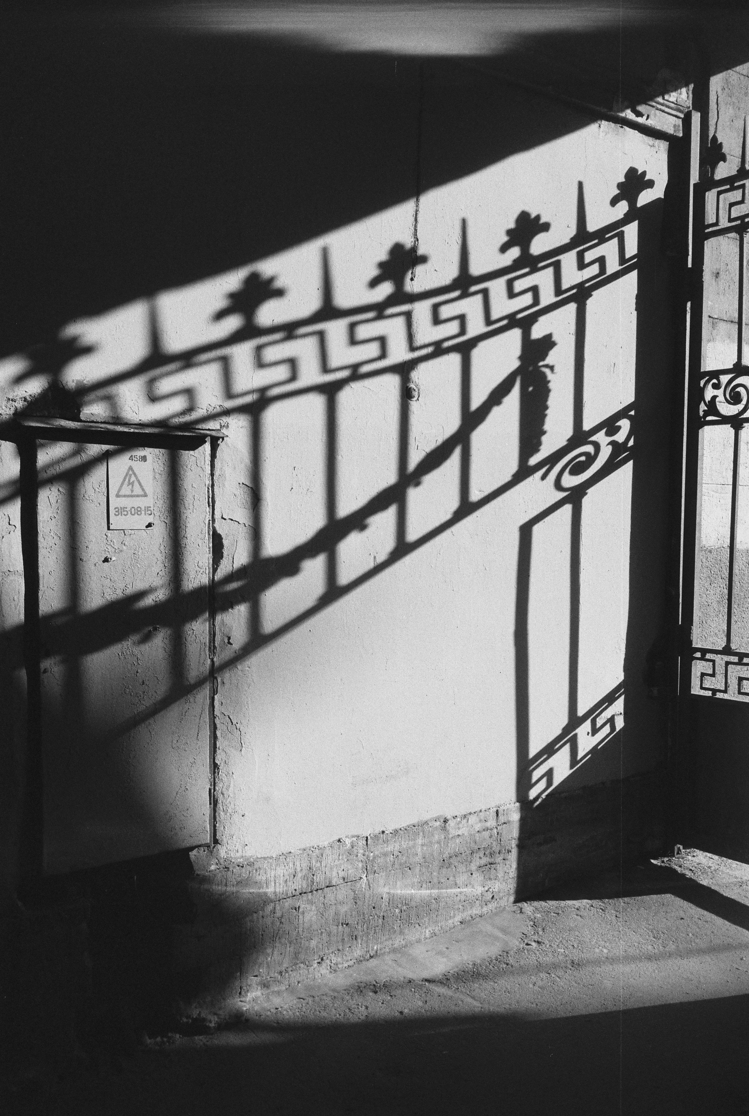 Фотографии черно-белые. Свадебный и семейный пленочный фотограф в Петербурге Истомина Ирина