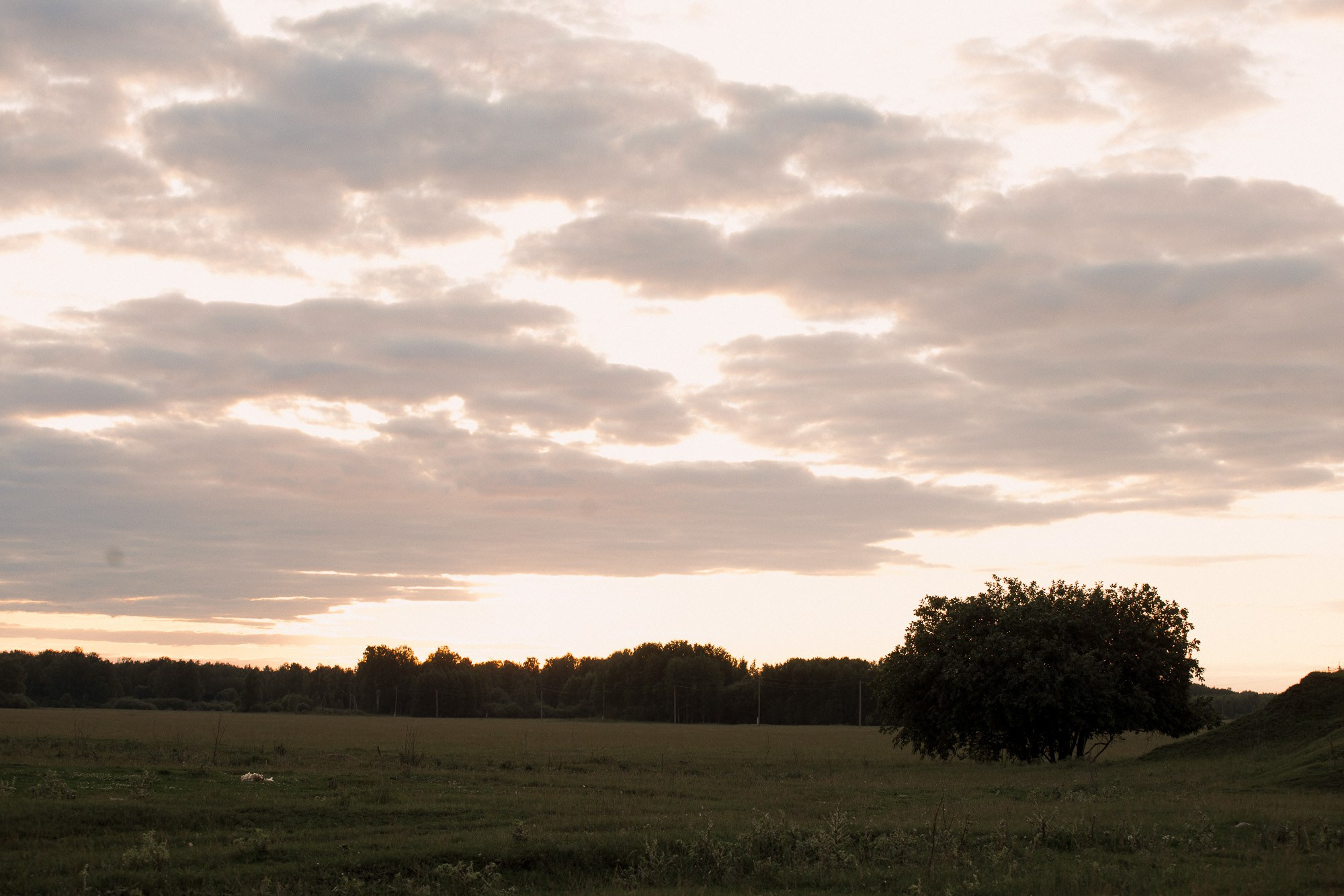Алексей и Светлана. Свадебный и семейный фотограф в Челябинске