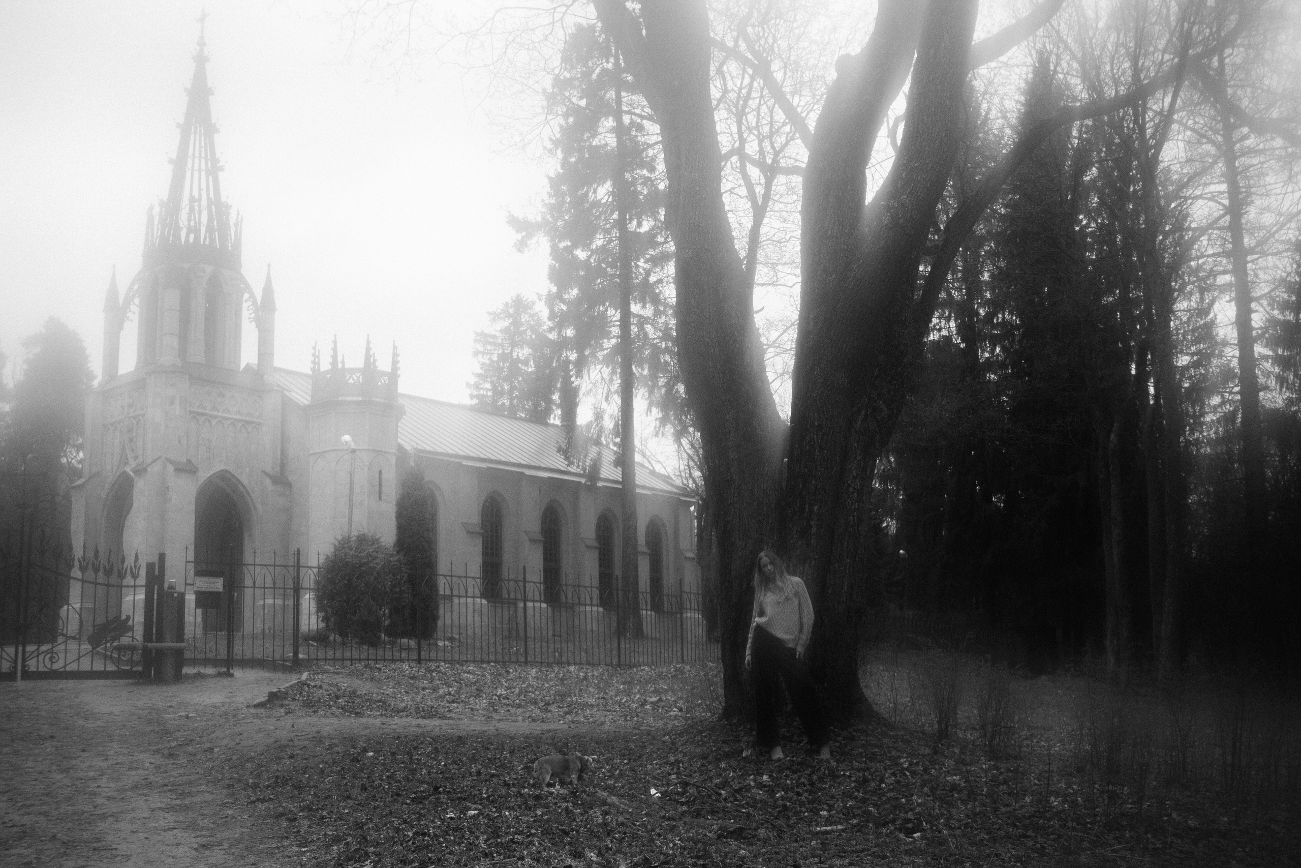 FOREST. Портретный фотограф DanilNabody