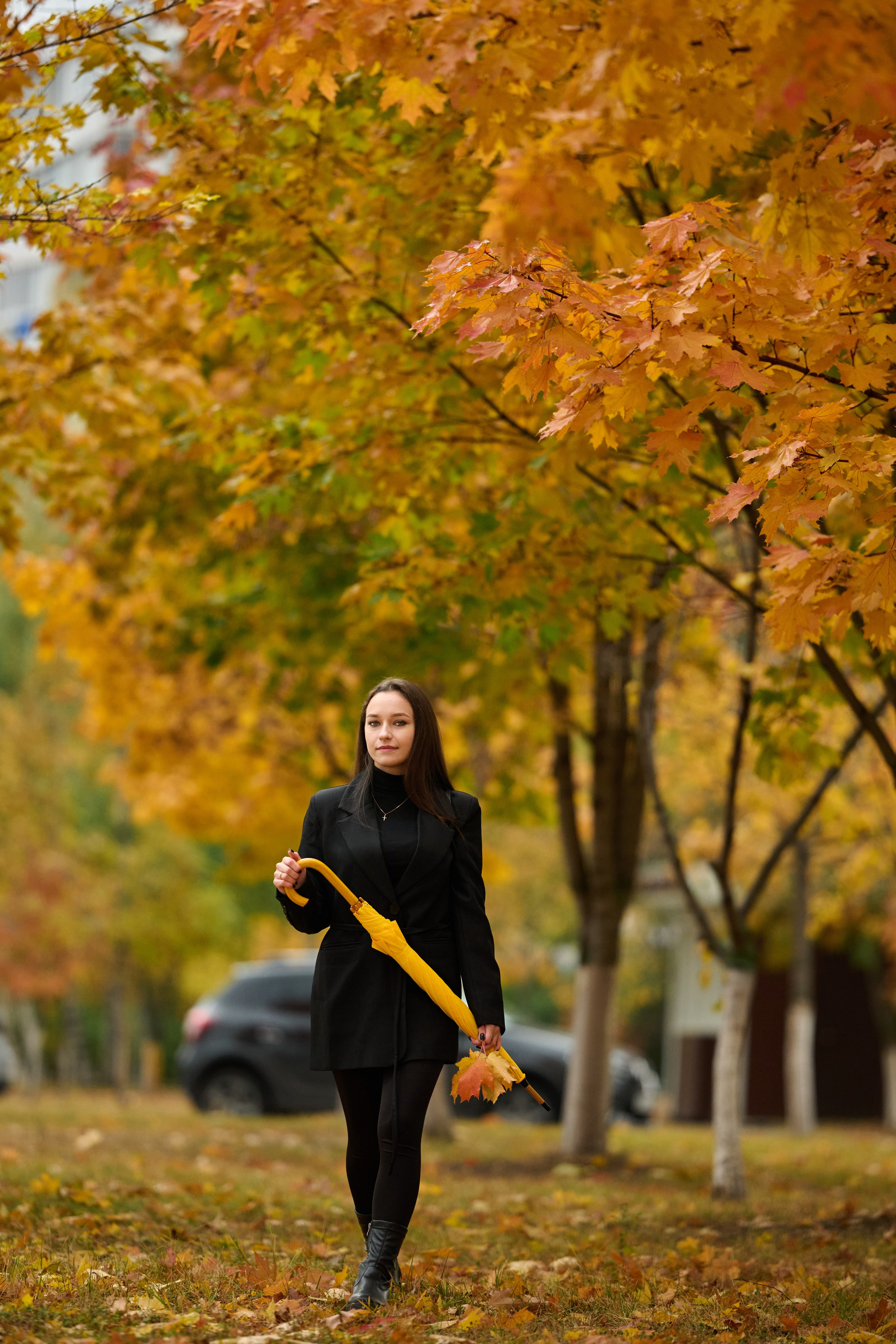 Золотая осень в Старом Осколе