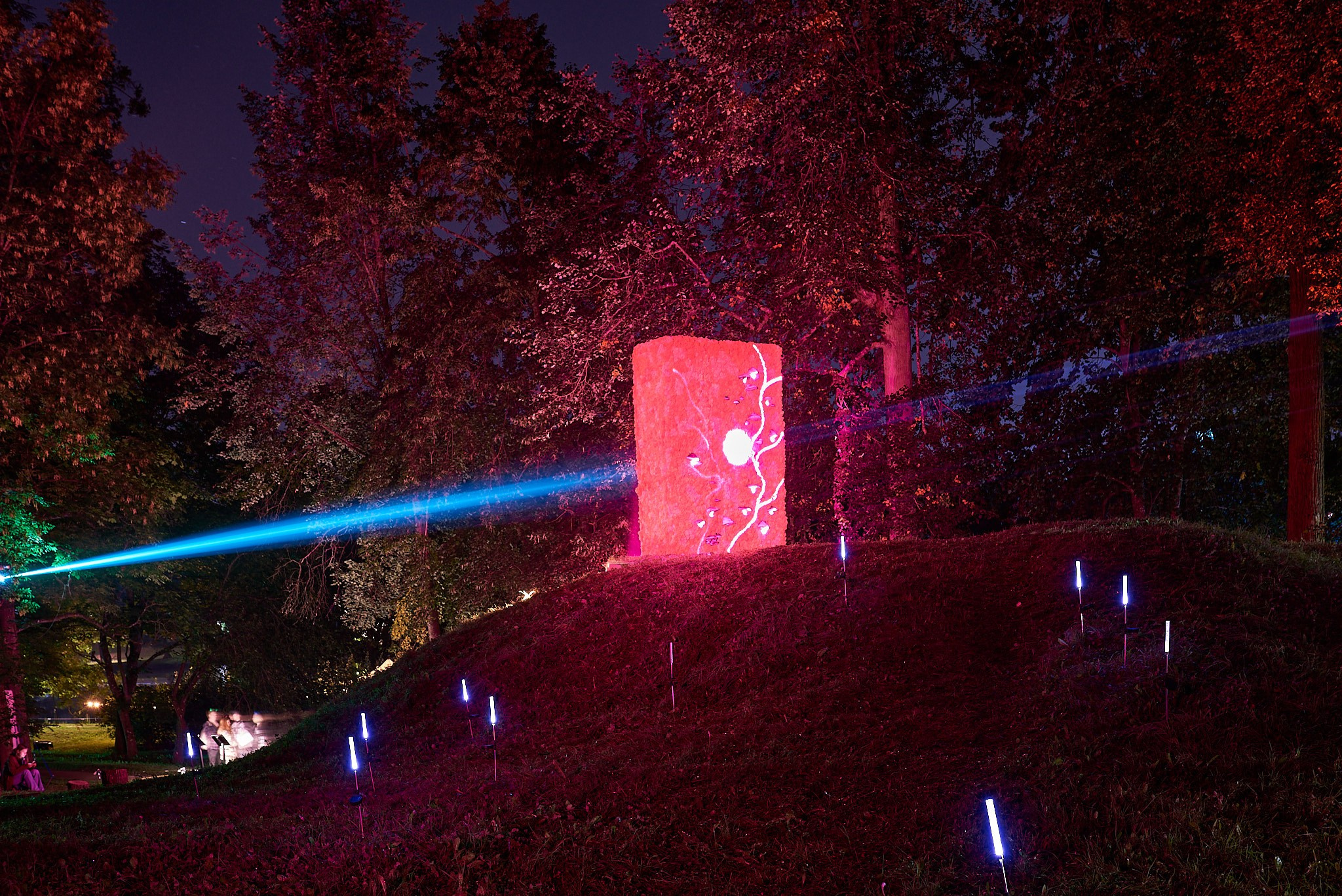 Ночь света 2024 Гатчина. Иван Ступа, репортажный фотограф в Санкт-Петербурге и Ленинградской области