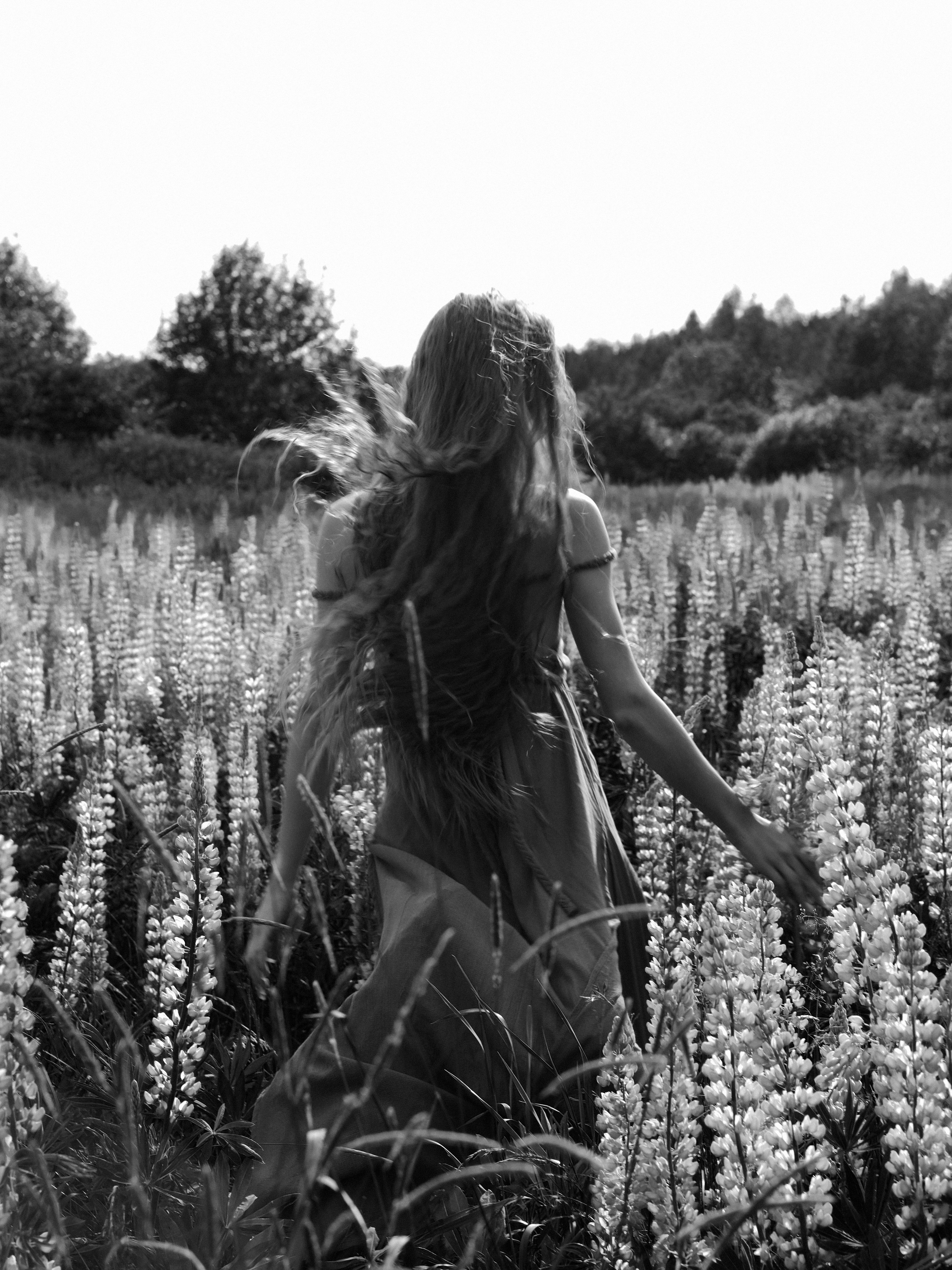 Люпины. Художественный фотограф СПБ, Дубай