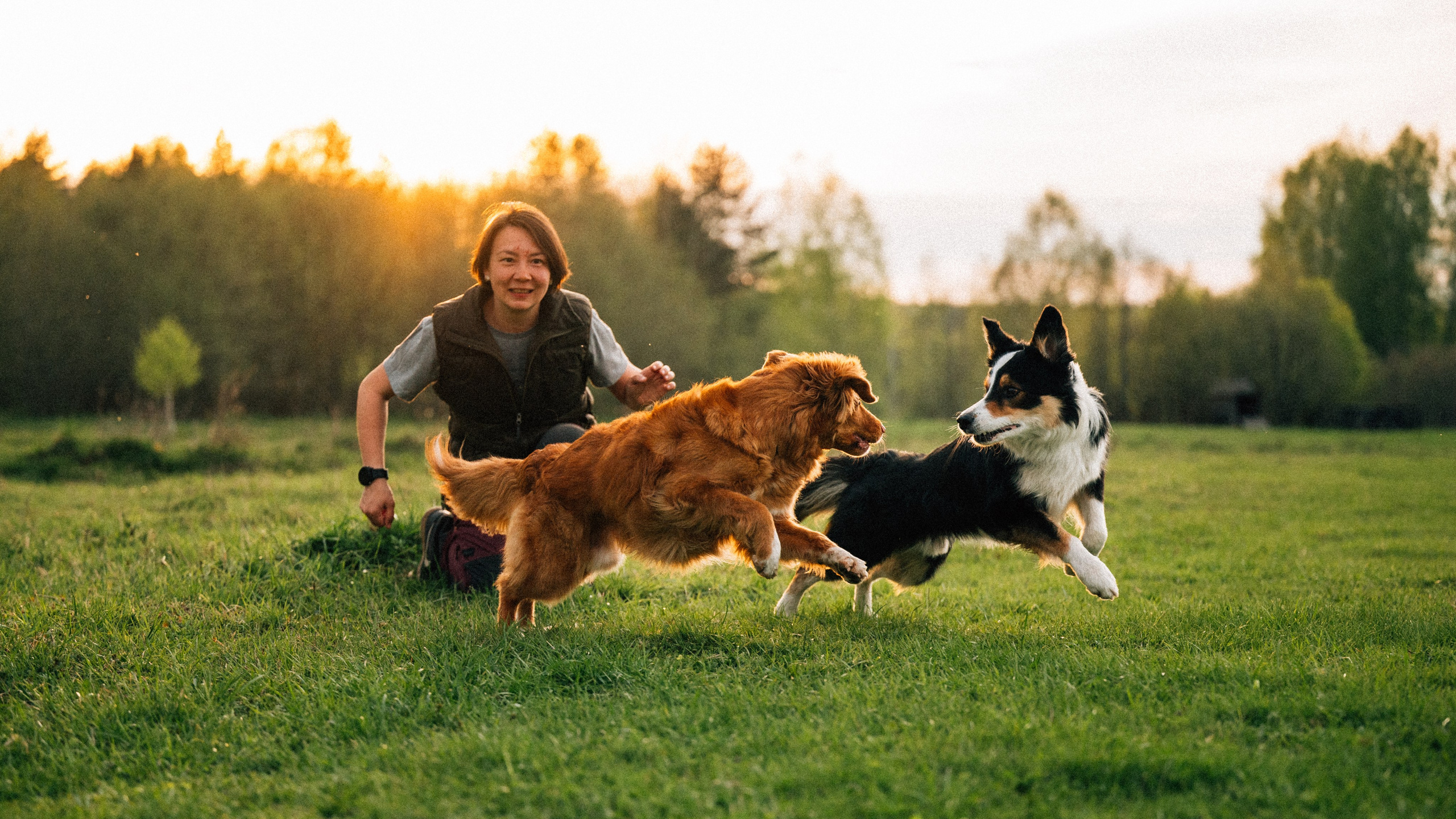 Алия, Ирвин и Грут. Семейный фотограф анималист Ананьева Мария — Москва