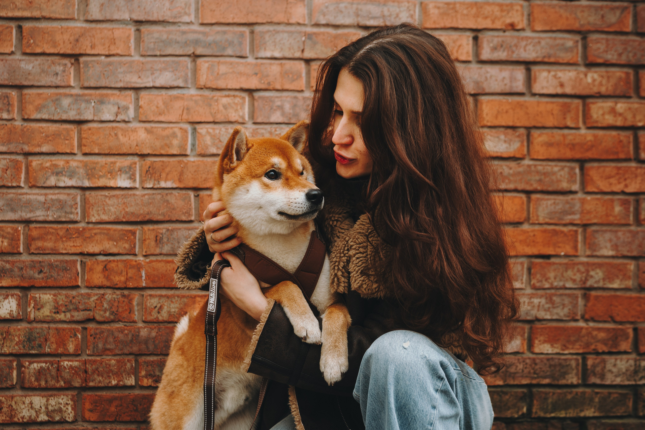 Pawsitive. Семейный фотограф анималист Ананьева Мария — Москва