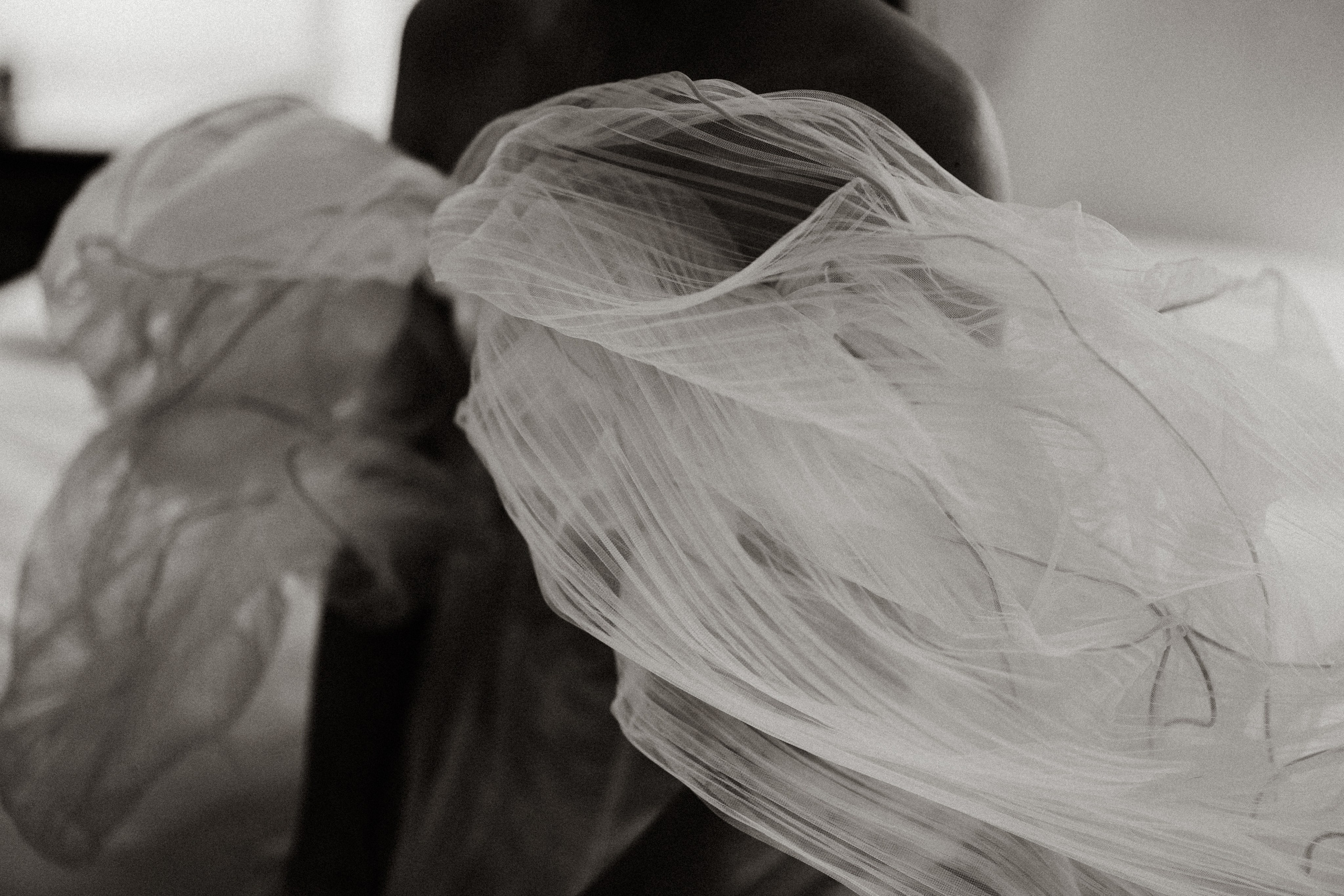 Утро в Петербурге. Daria Chigintseva Photographer