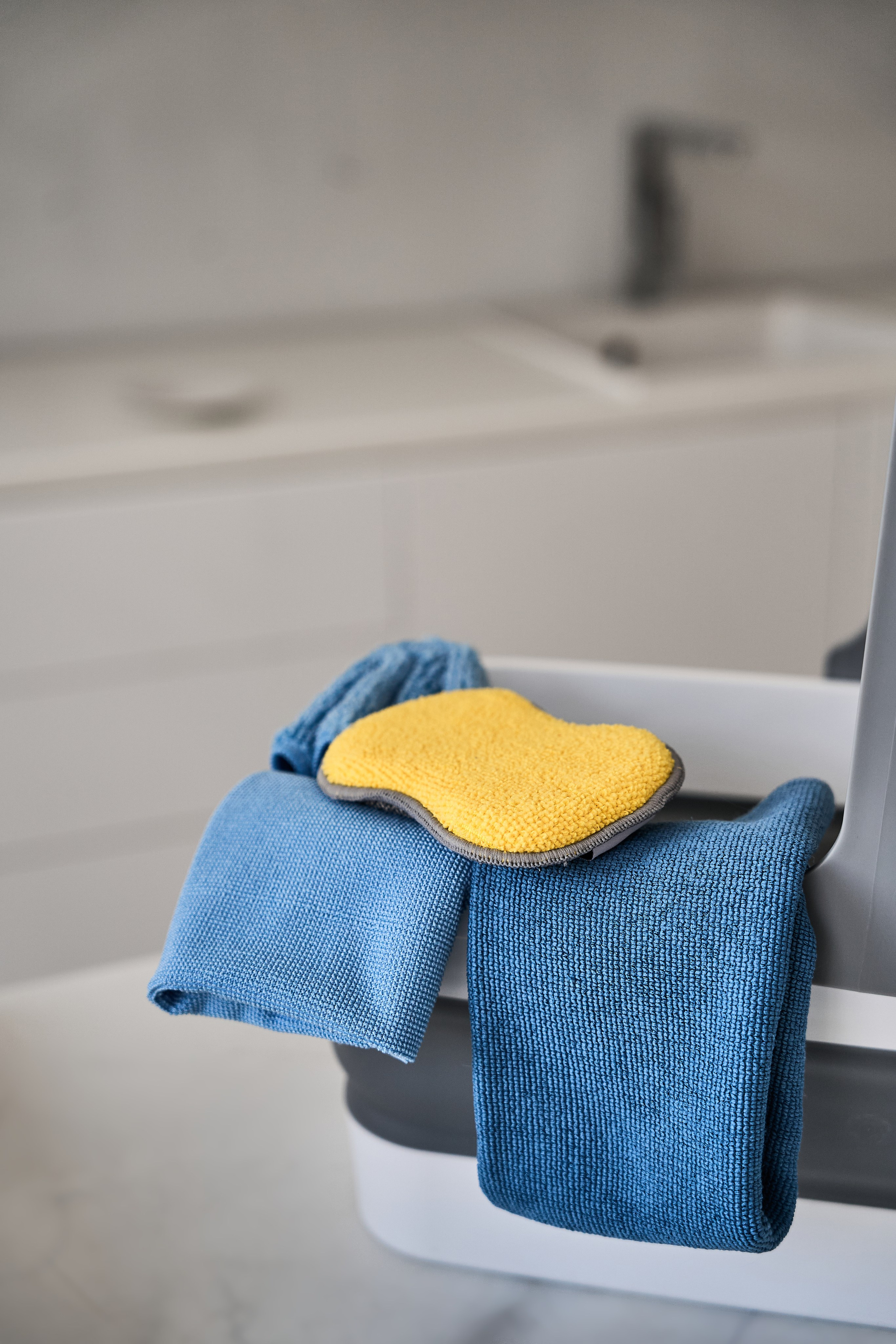 White cat. Фотограф в Москве Казакова Анна