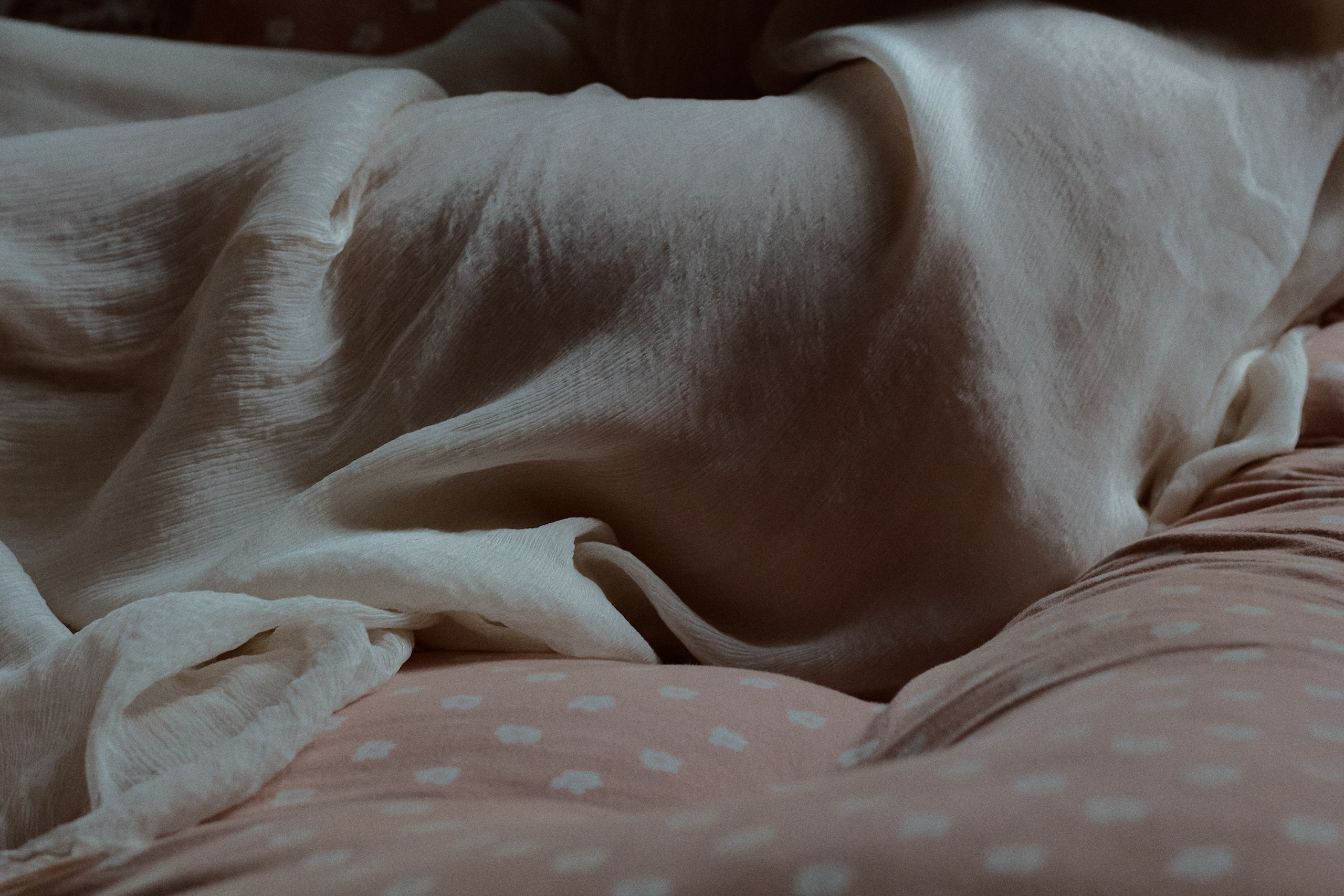 Мари. Фотограф лавстори Москва/МО Приятелева Ангелина