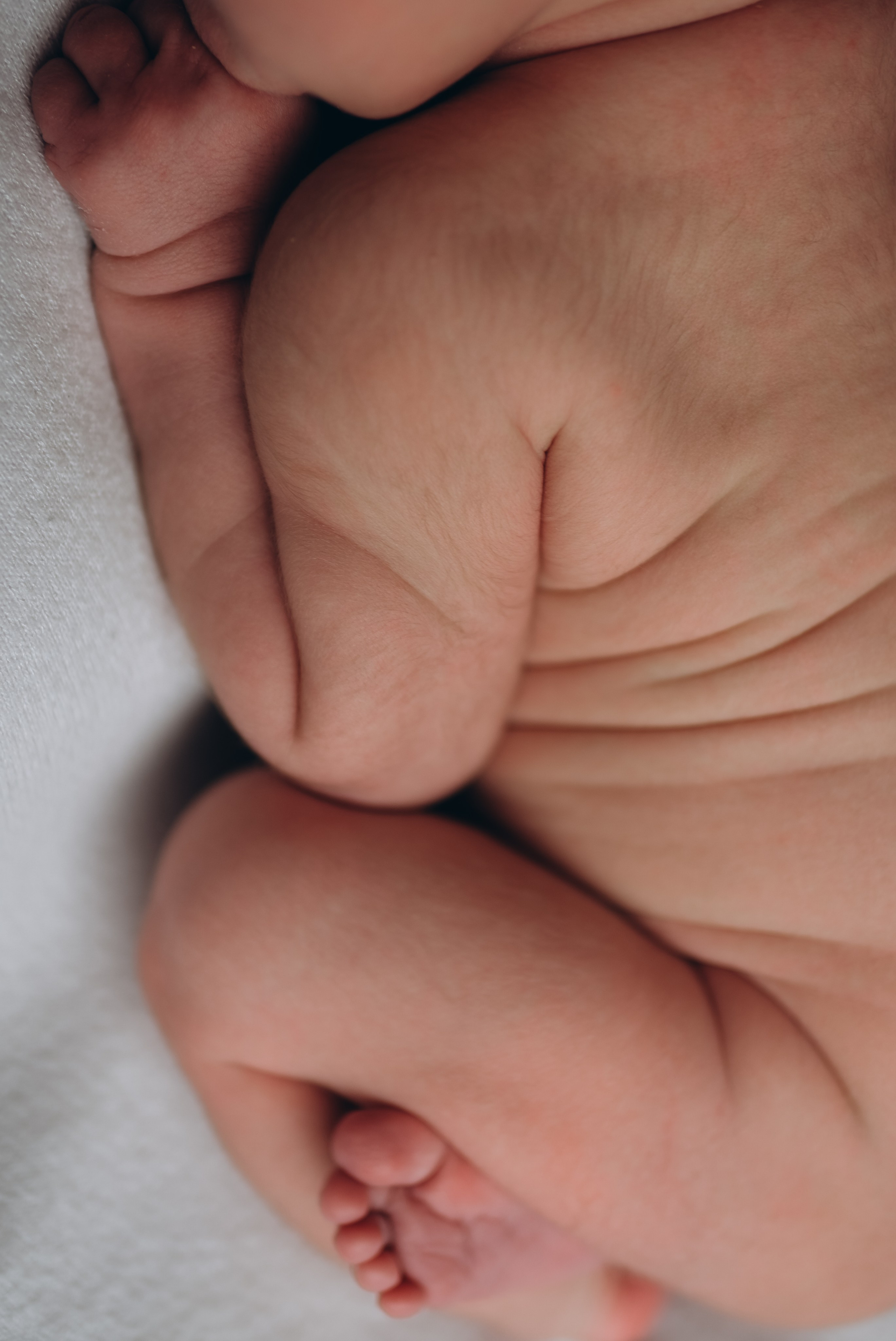 Фотосессия ньюборн, newborn Москва, фотосессия новорожденных. Ньюборн и детский фотограф в Москве Шигина Марина