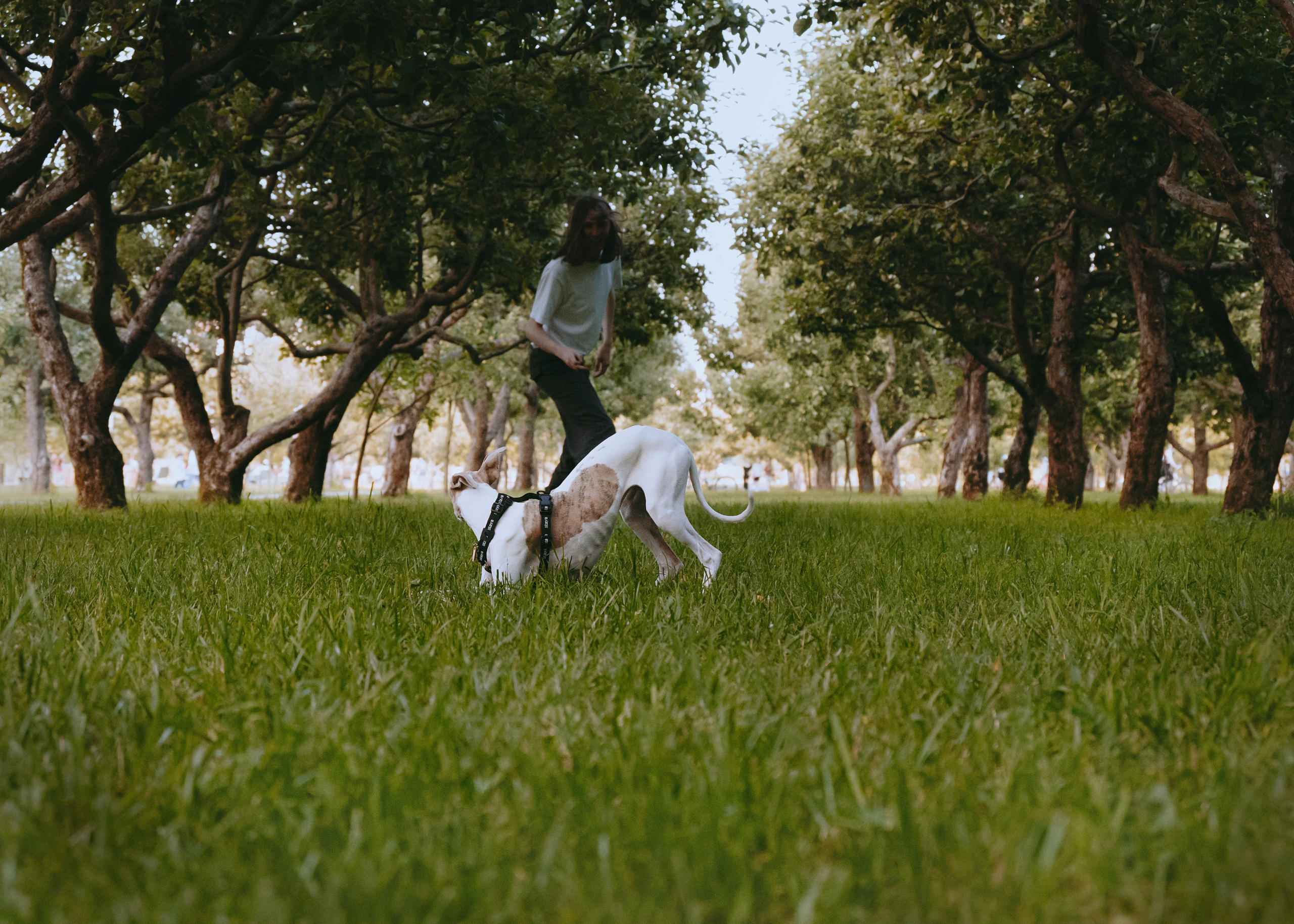 Ветка. Фотограф- анималист Александра Матвеева
