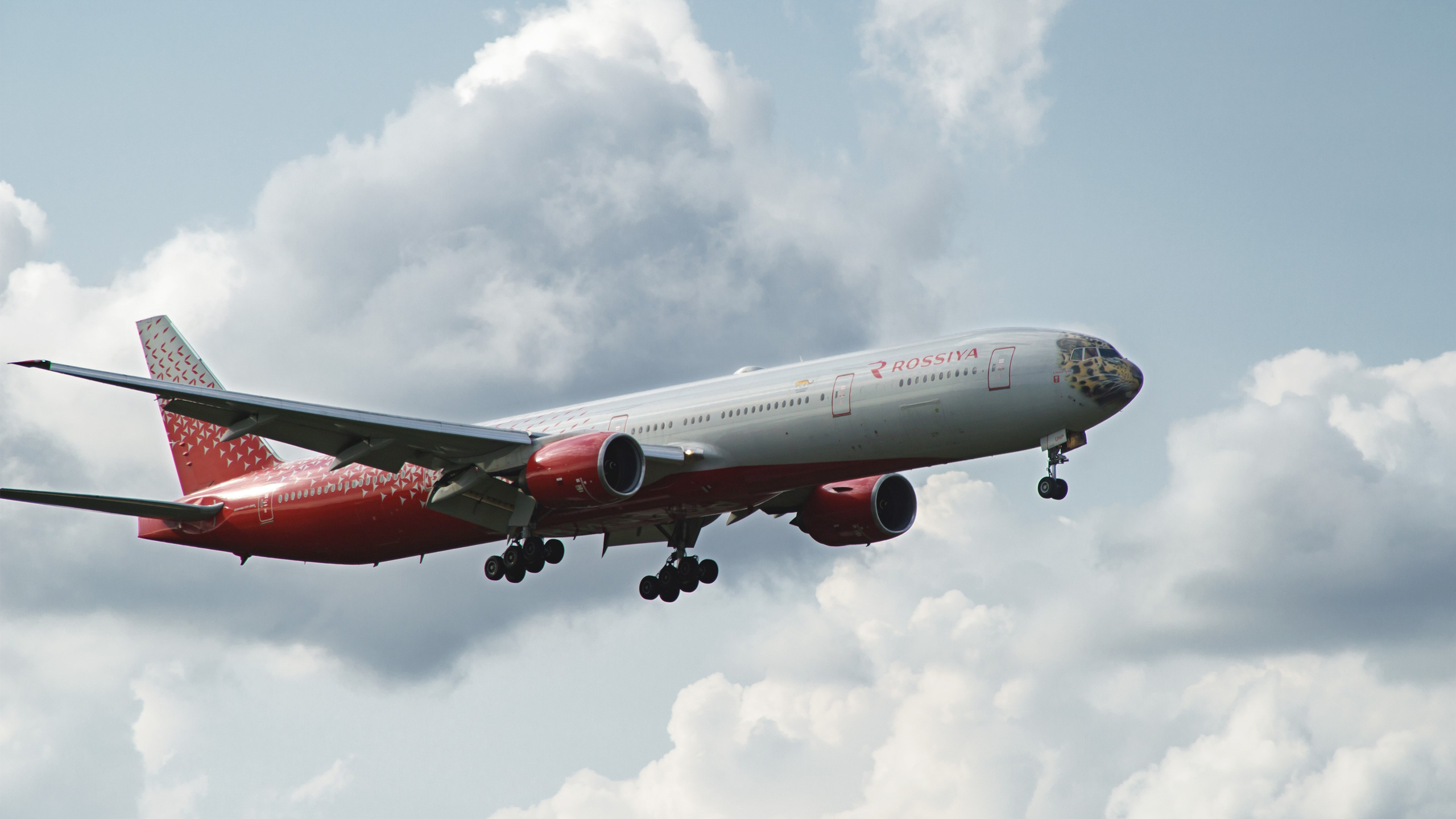 Spotting. Фотограф Александр Лайкачев