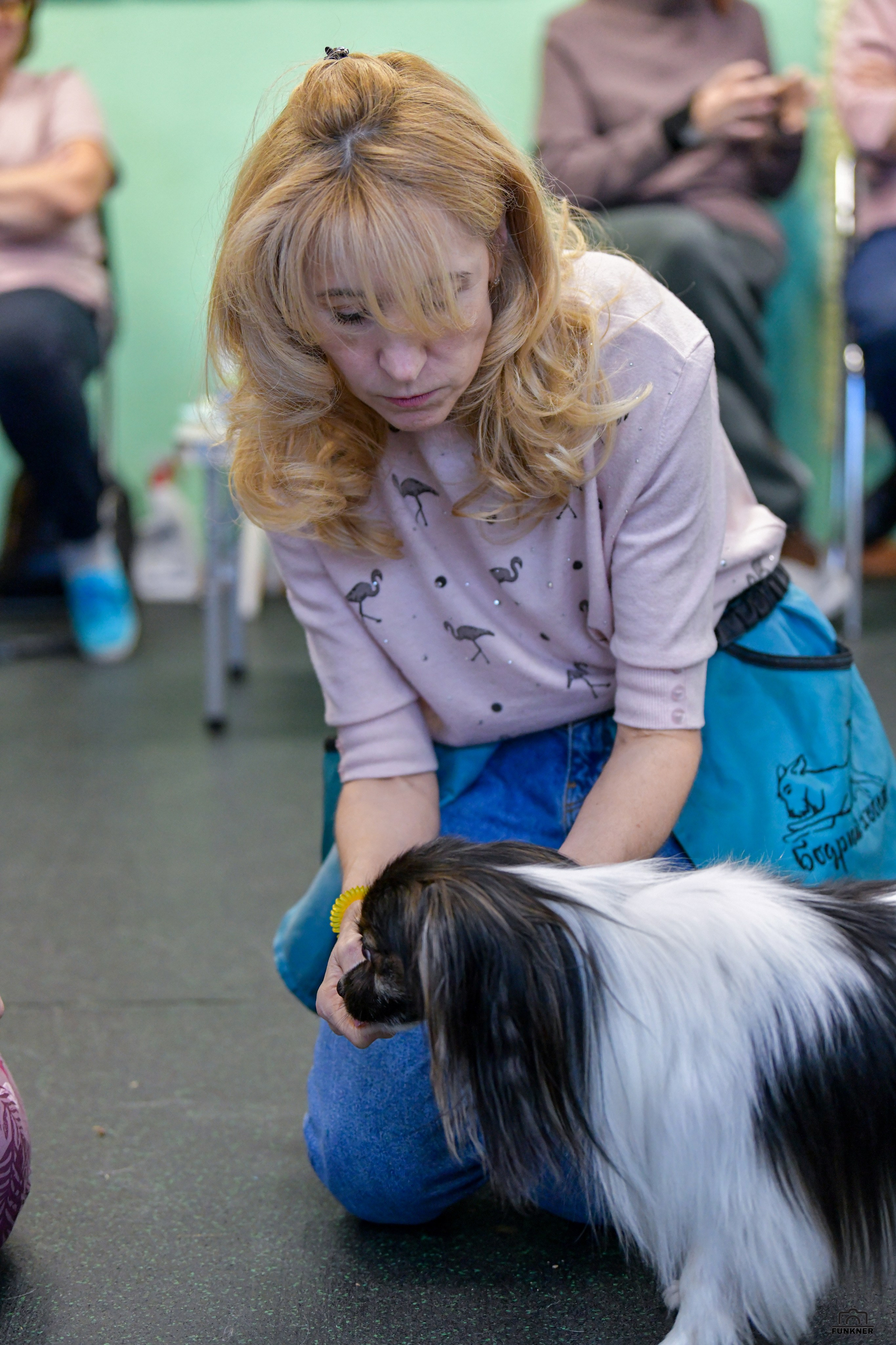 Кинологический клуб «Бодрый хвост». Свой взгляд через объектив