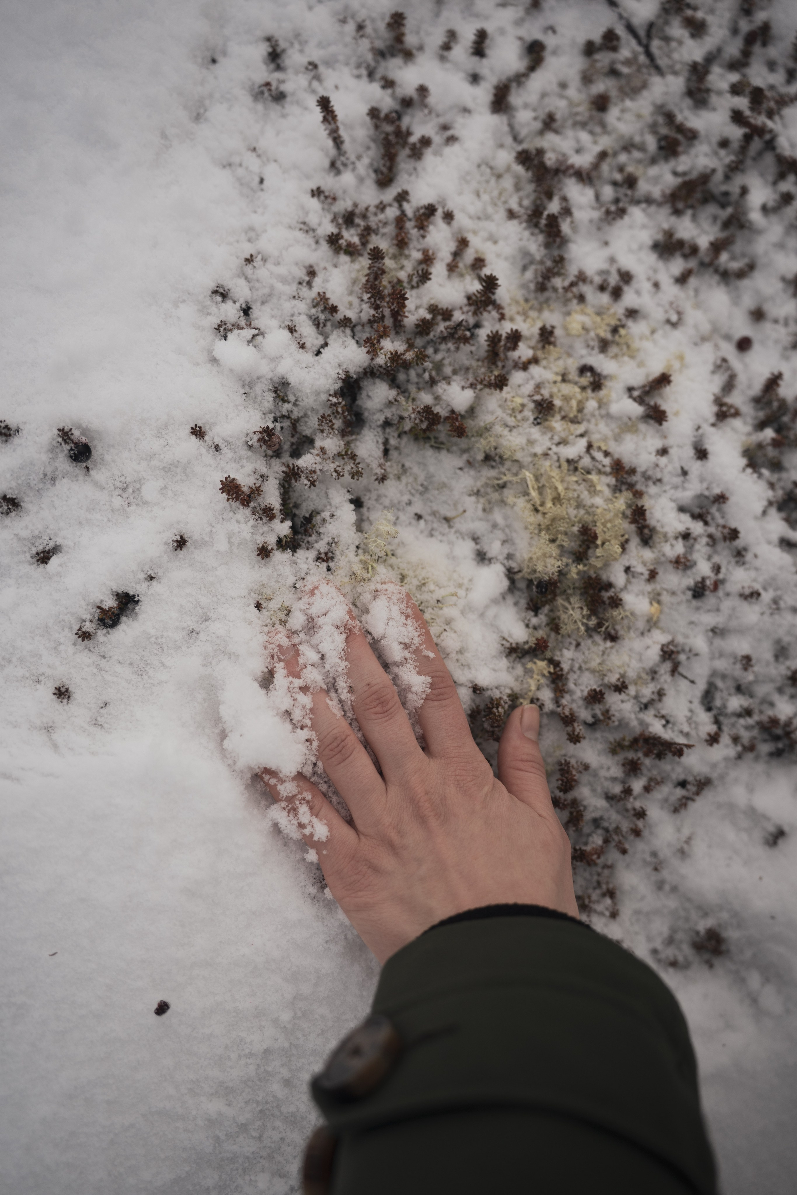 Териберка — репортаж тура Ковчег 51. Видеограф в Санкт-Петербурге Анастасия Коок