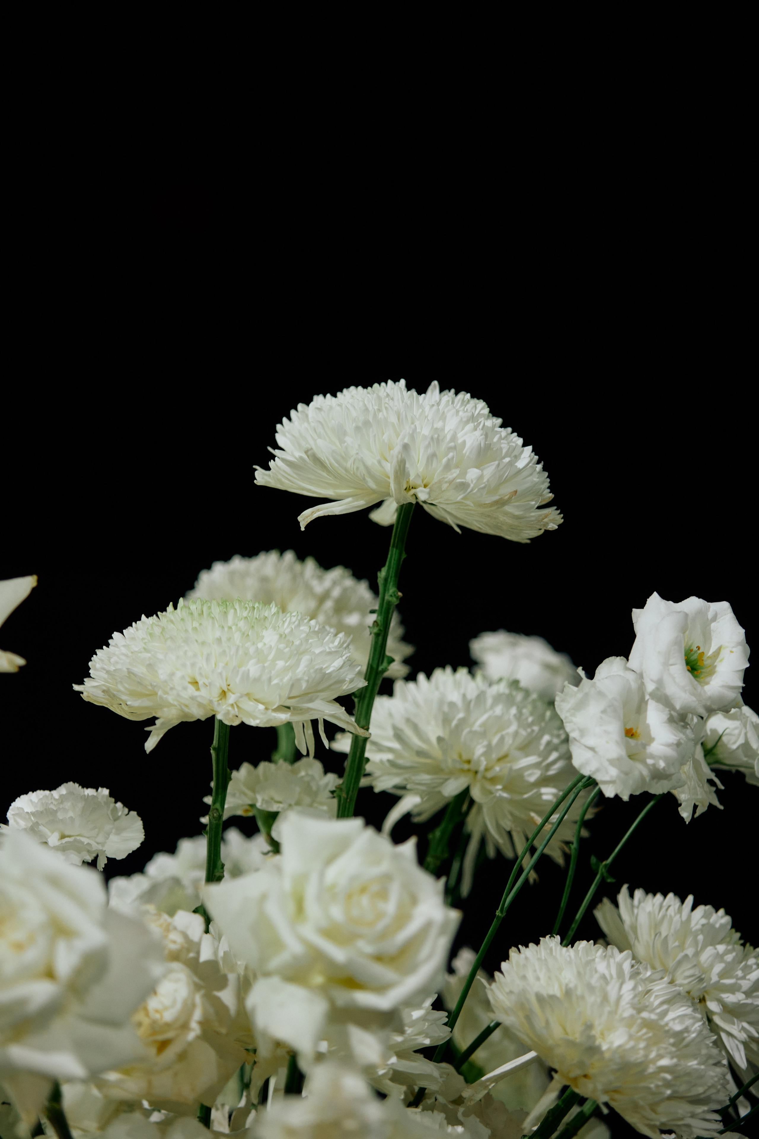 THE GOLDEN CRUMB. Дмитрий Мазуркевич: Профессиональный Репортажный Фотограф