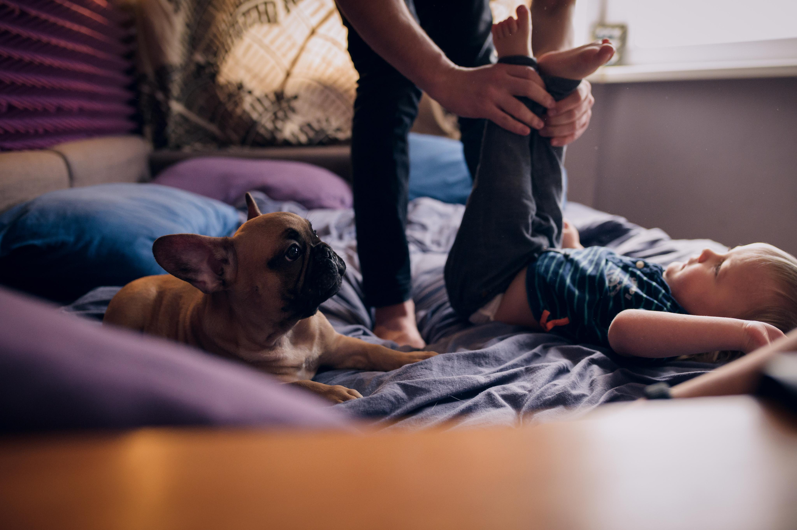 Домашняя фотосессия с характером. Семейный фотограф. Lifestyle. Москва. Анастасия Михайлова