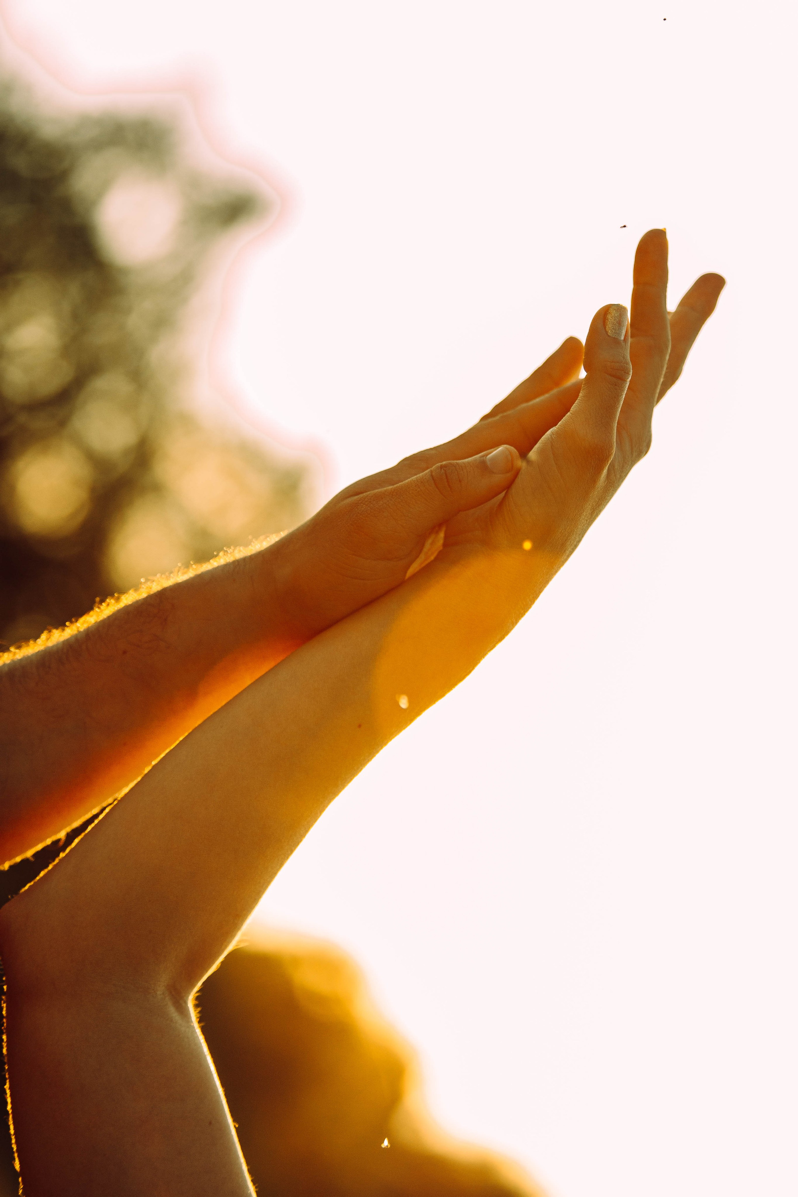 На закат. Арт-фотограф Крис Л. в Тобольске: портрет, семейные, свадьбы