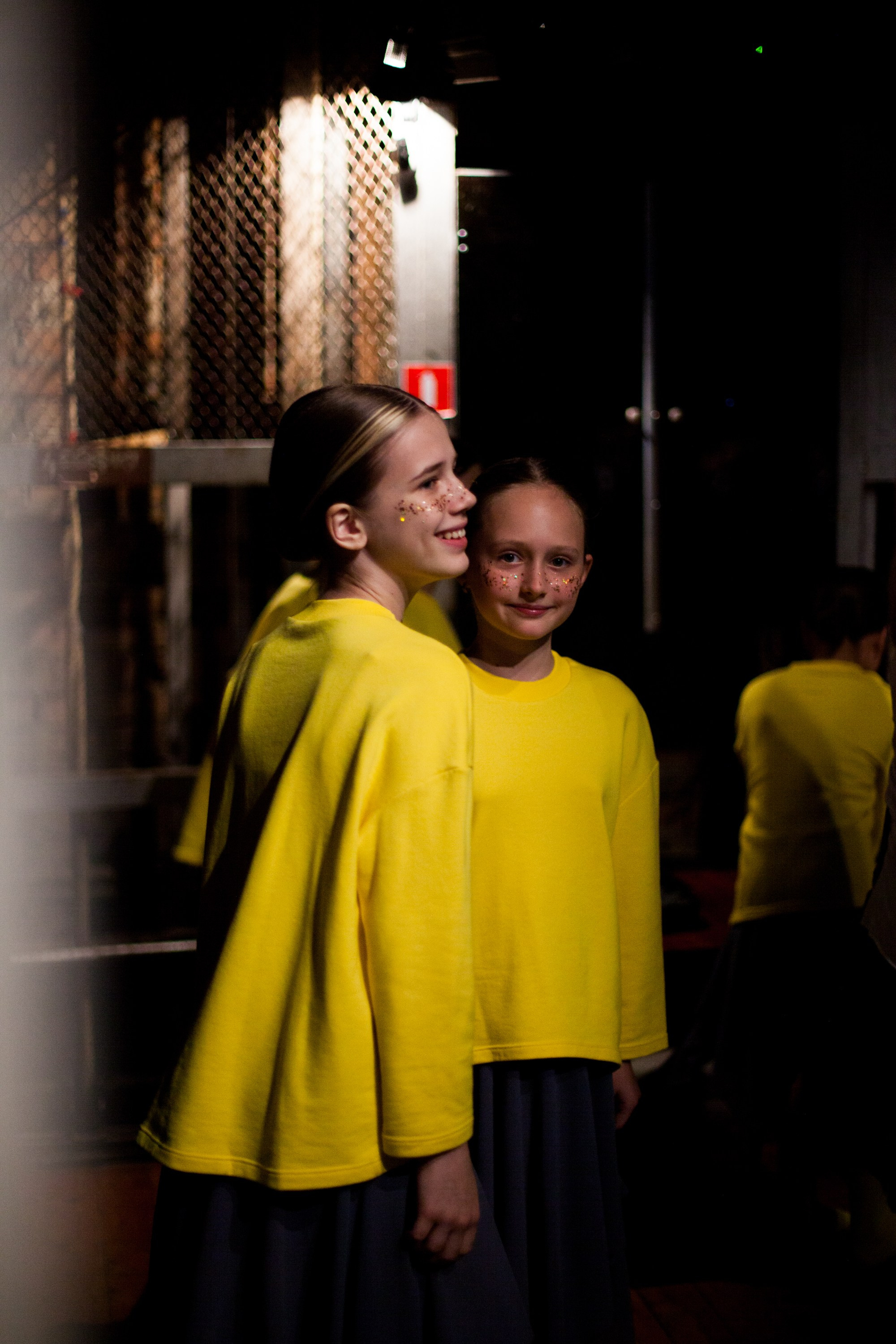 Концерты. Виолетта Скрипка