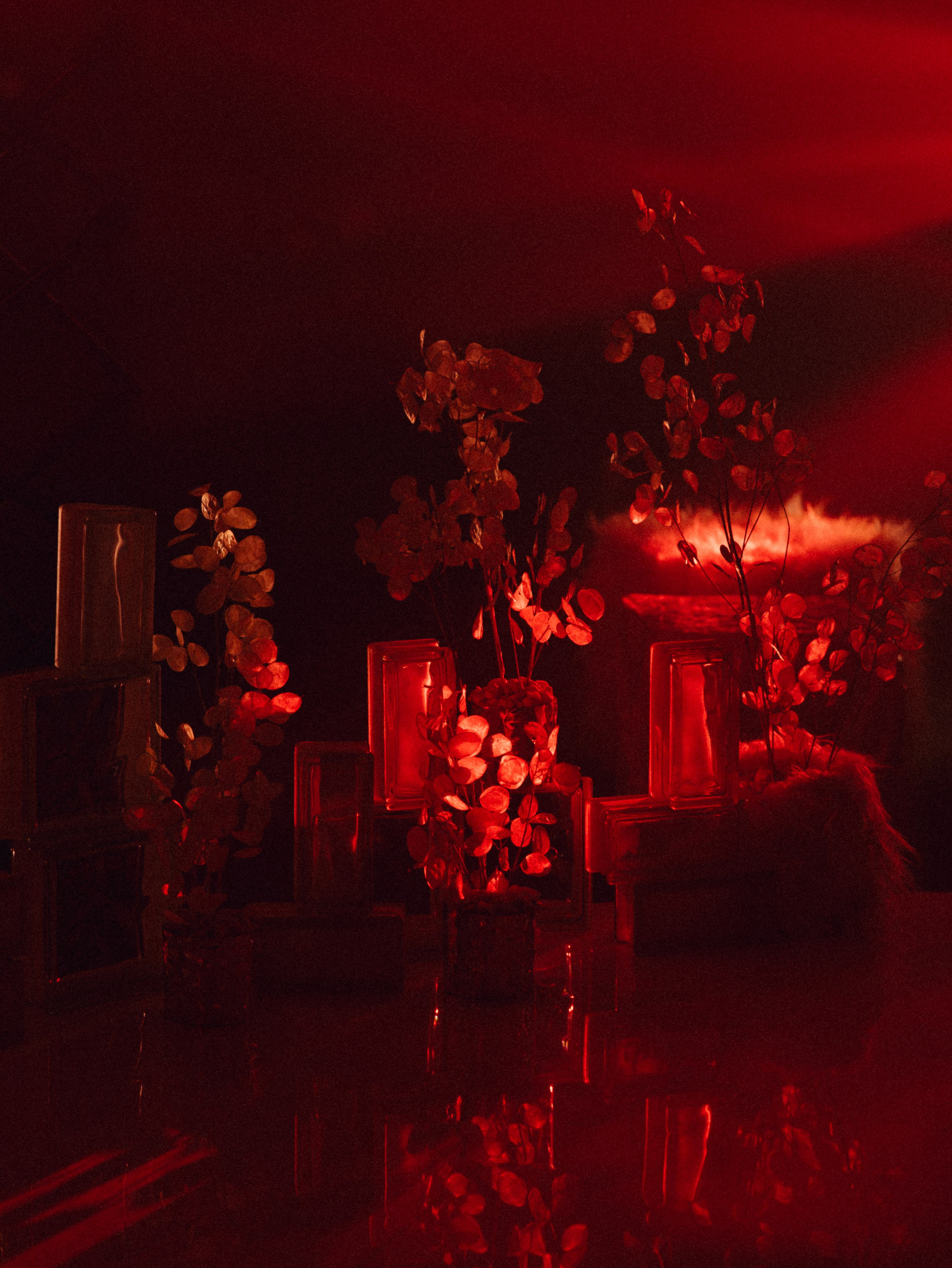 ДАРЬЯ И АЛЕКСАНДР, AMORE HOUSE, DRUGIE_EVENT. Свадебный и индивидуальный фотограф в Челябинске Евгения Негодяева