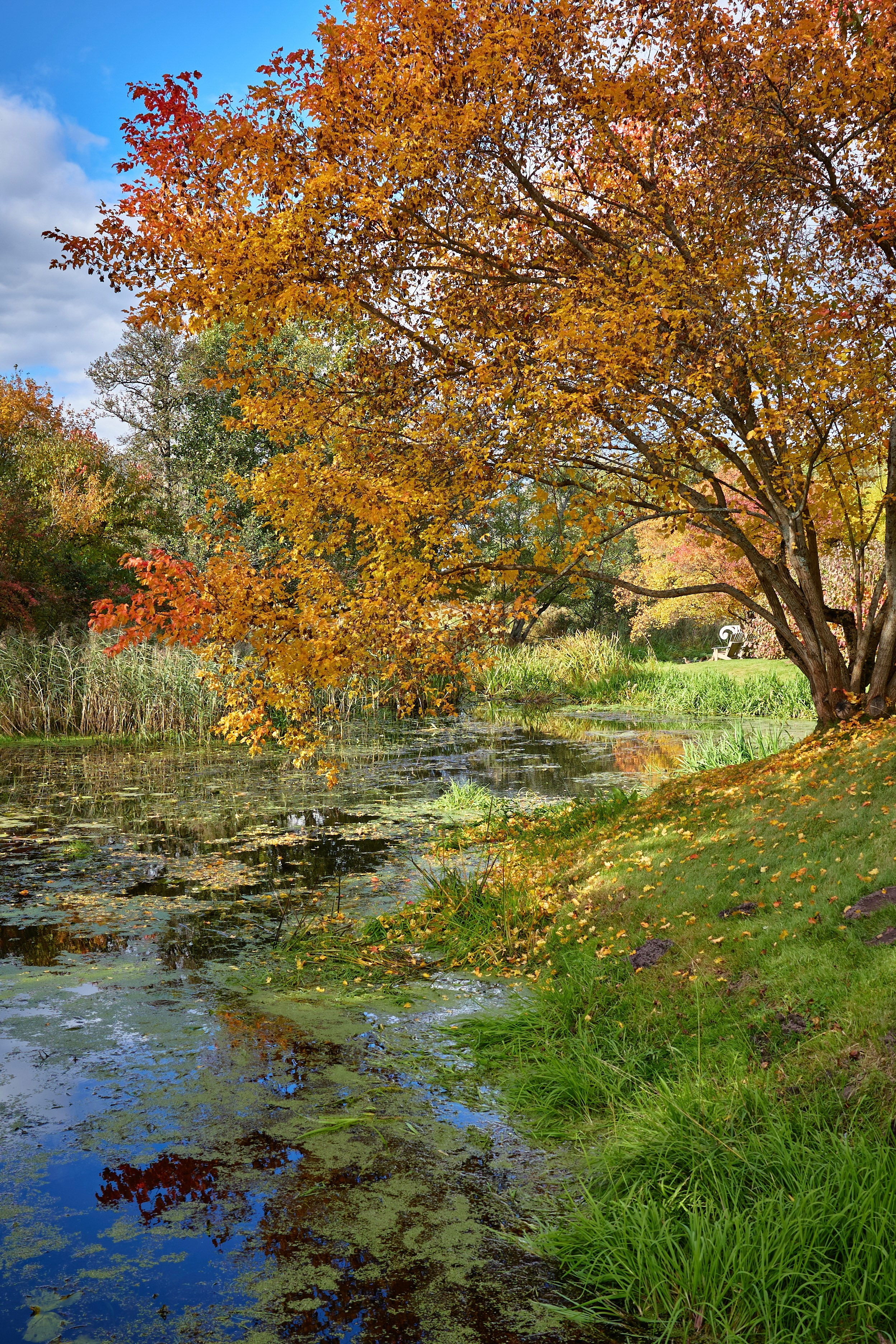 Пейзаж. Фотограф Люся Воробьева