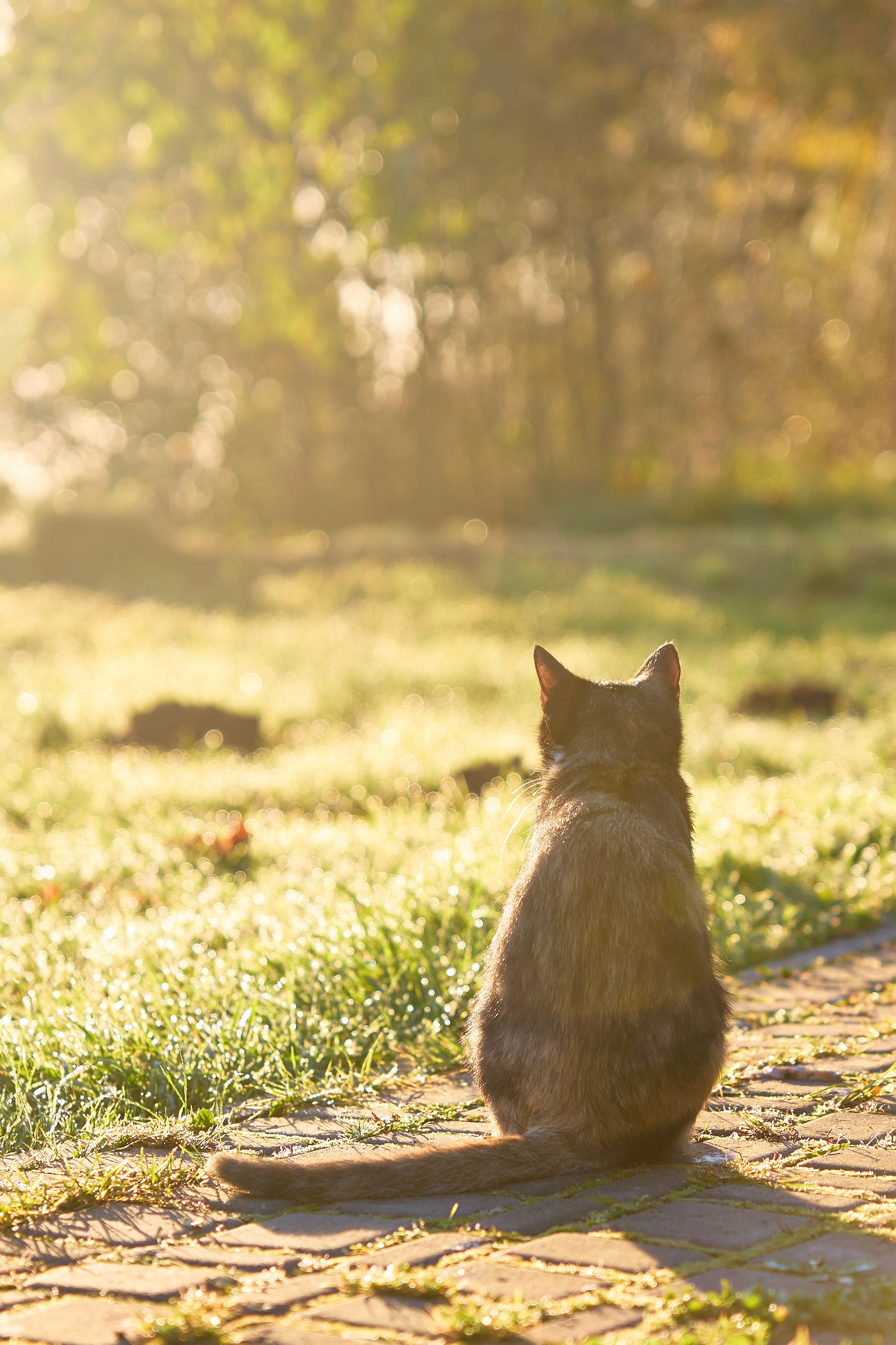 Пейзаж. Фотограф Люся Воробьева