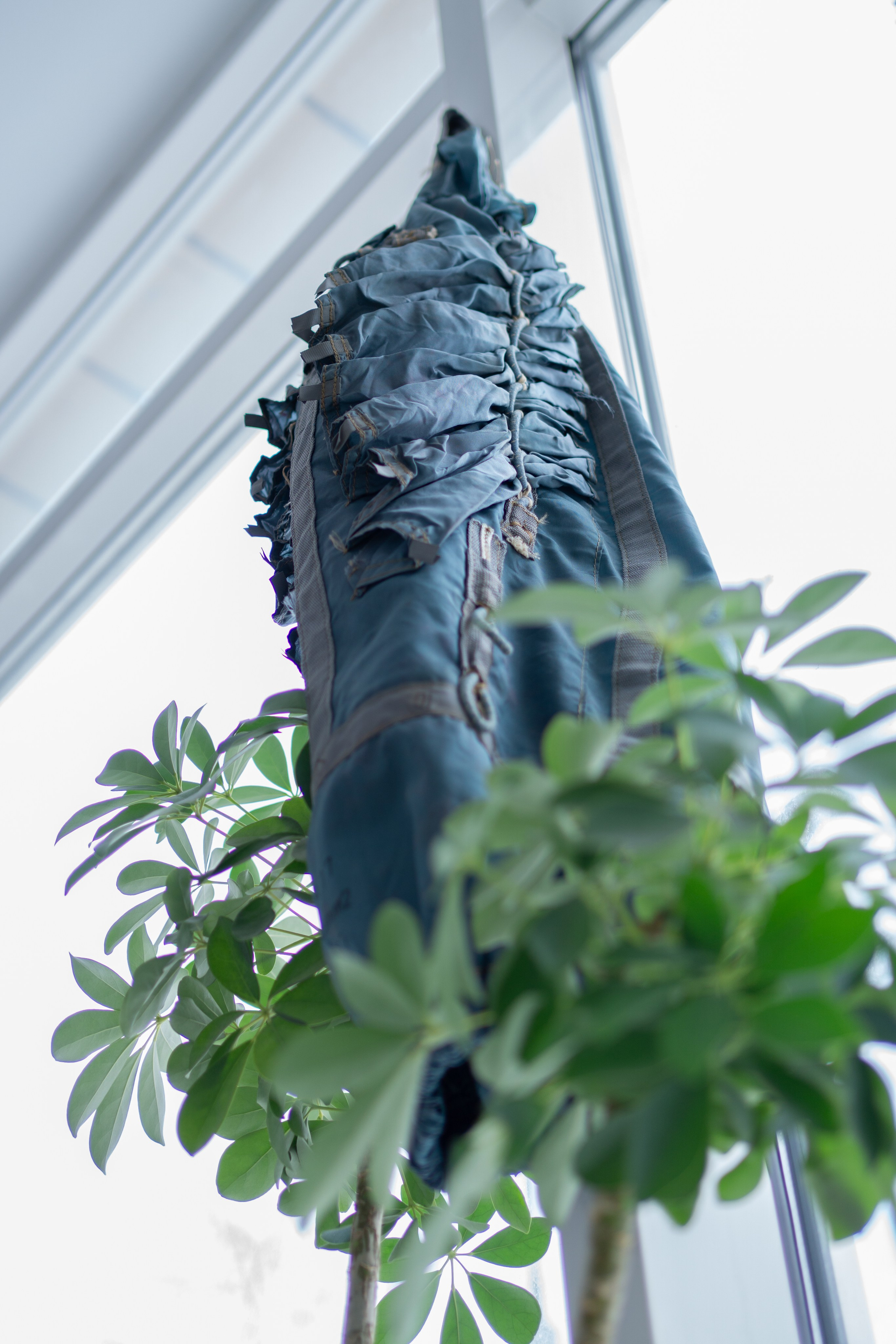 Summer nostalgie. Maria Abdullaeva