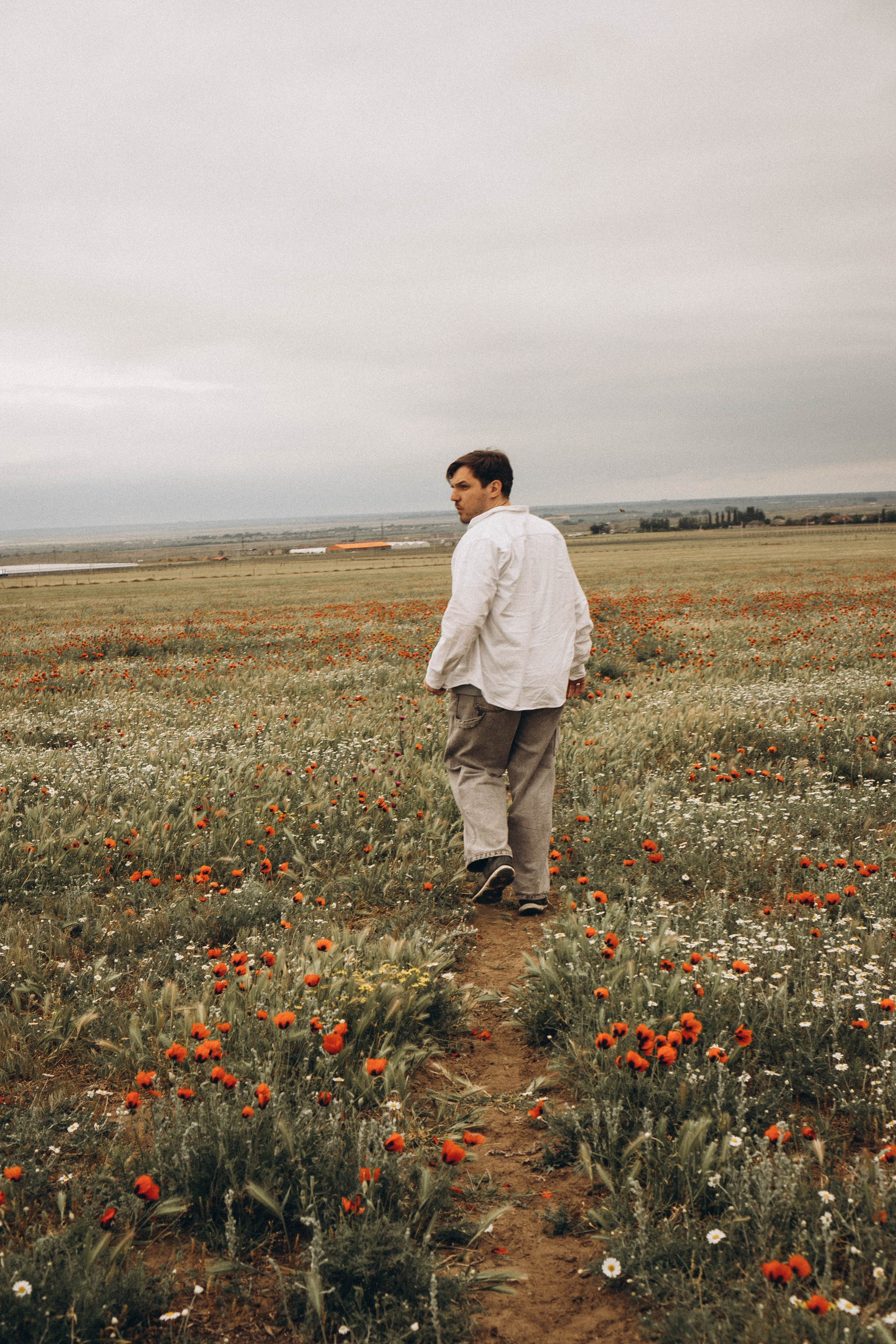 Маки. Профессиональный фотограф, Санкт-Петербург — Виктория Богомолова