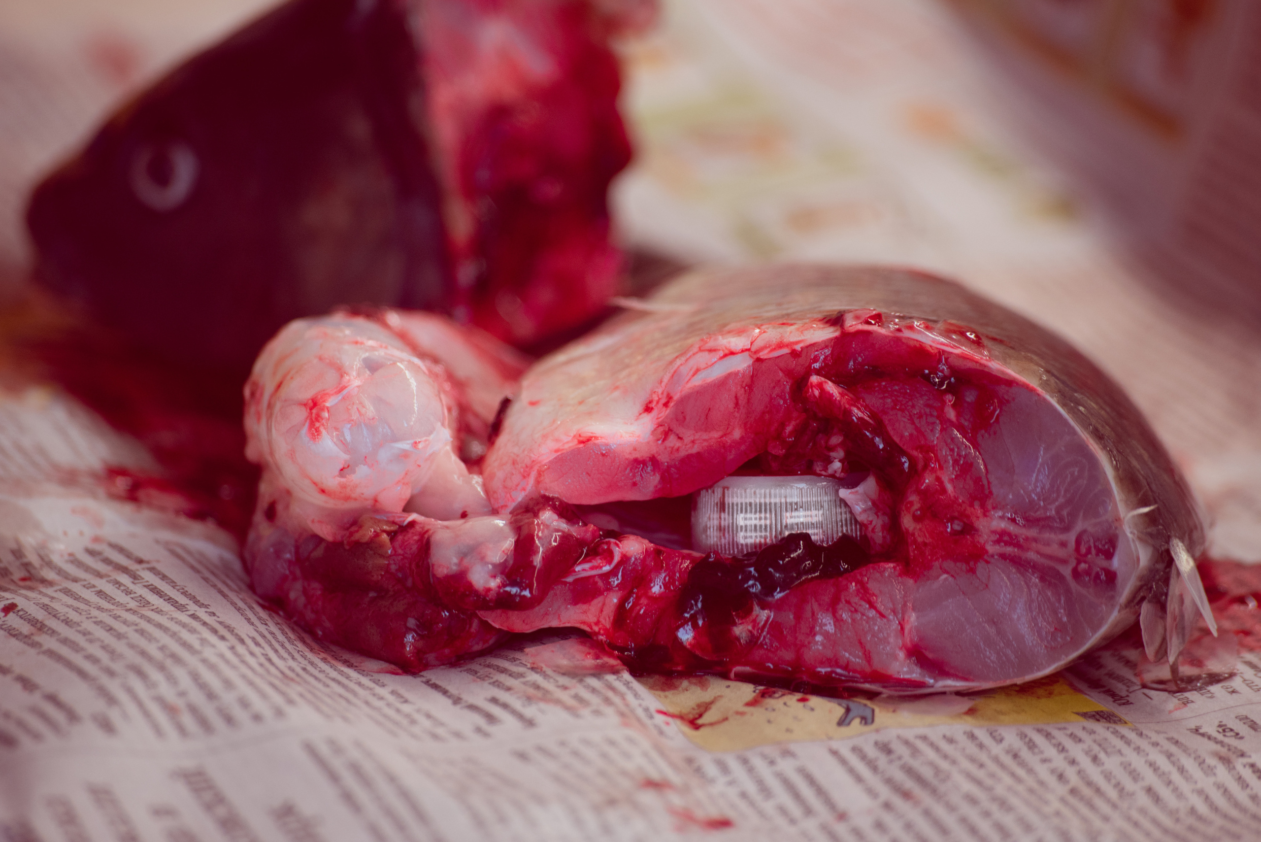 Все подряд. Главная