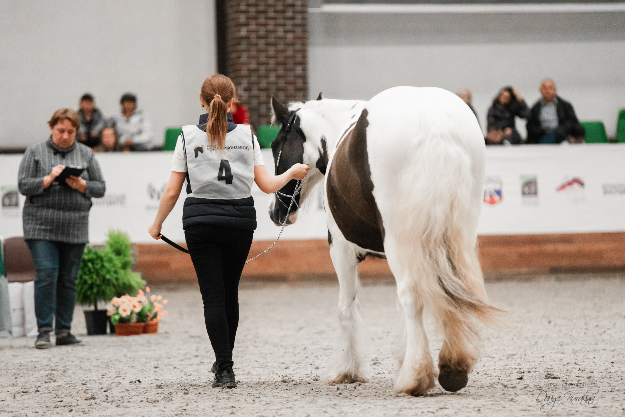 8-я международная выставка Конная Россия. Конный фотограф Куракина Дарья • Фотосессии с лошадьми