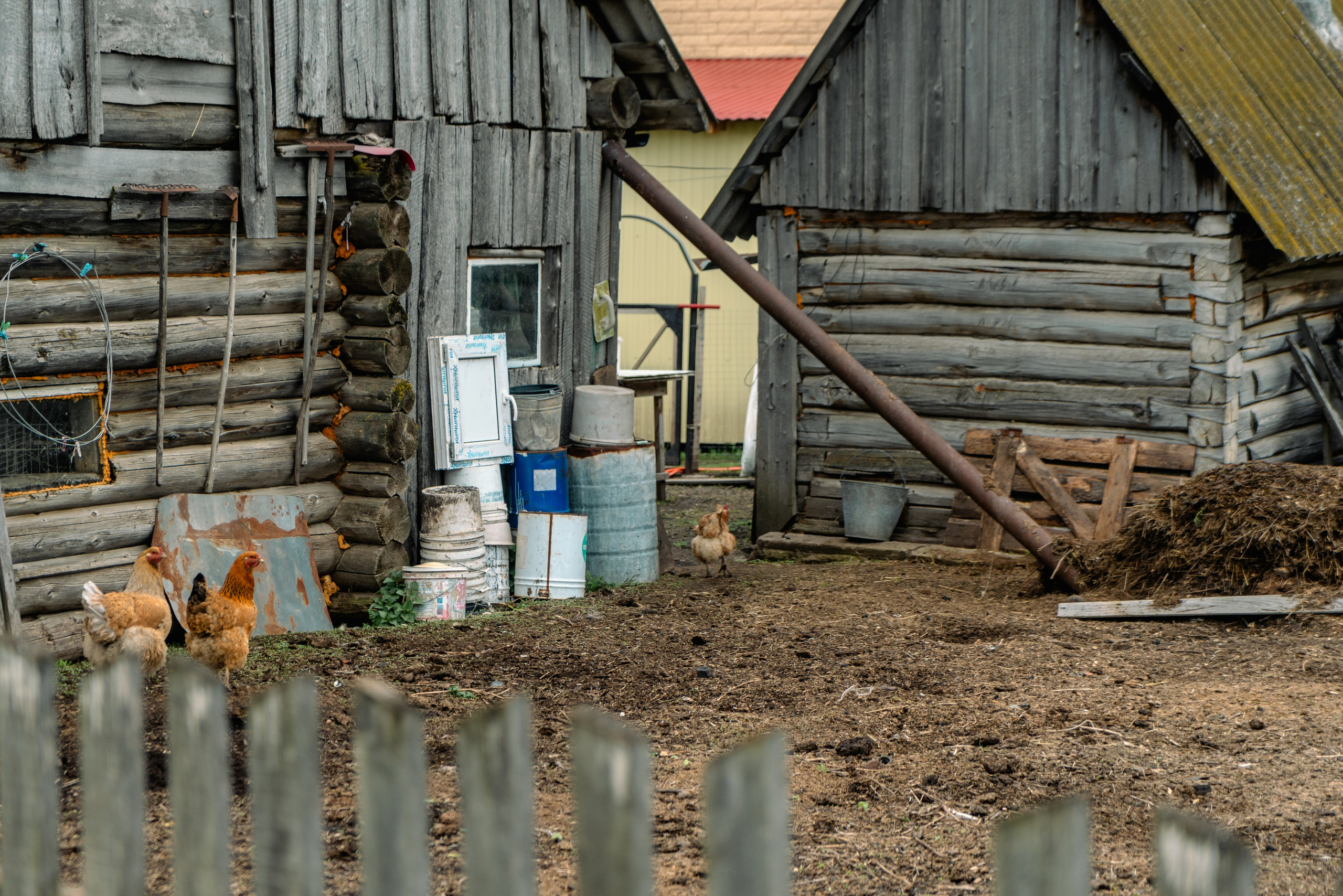 Аскино, Май 2024