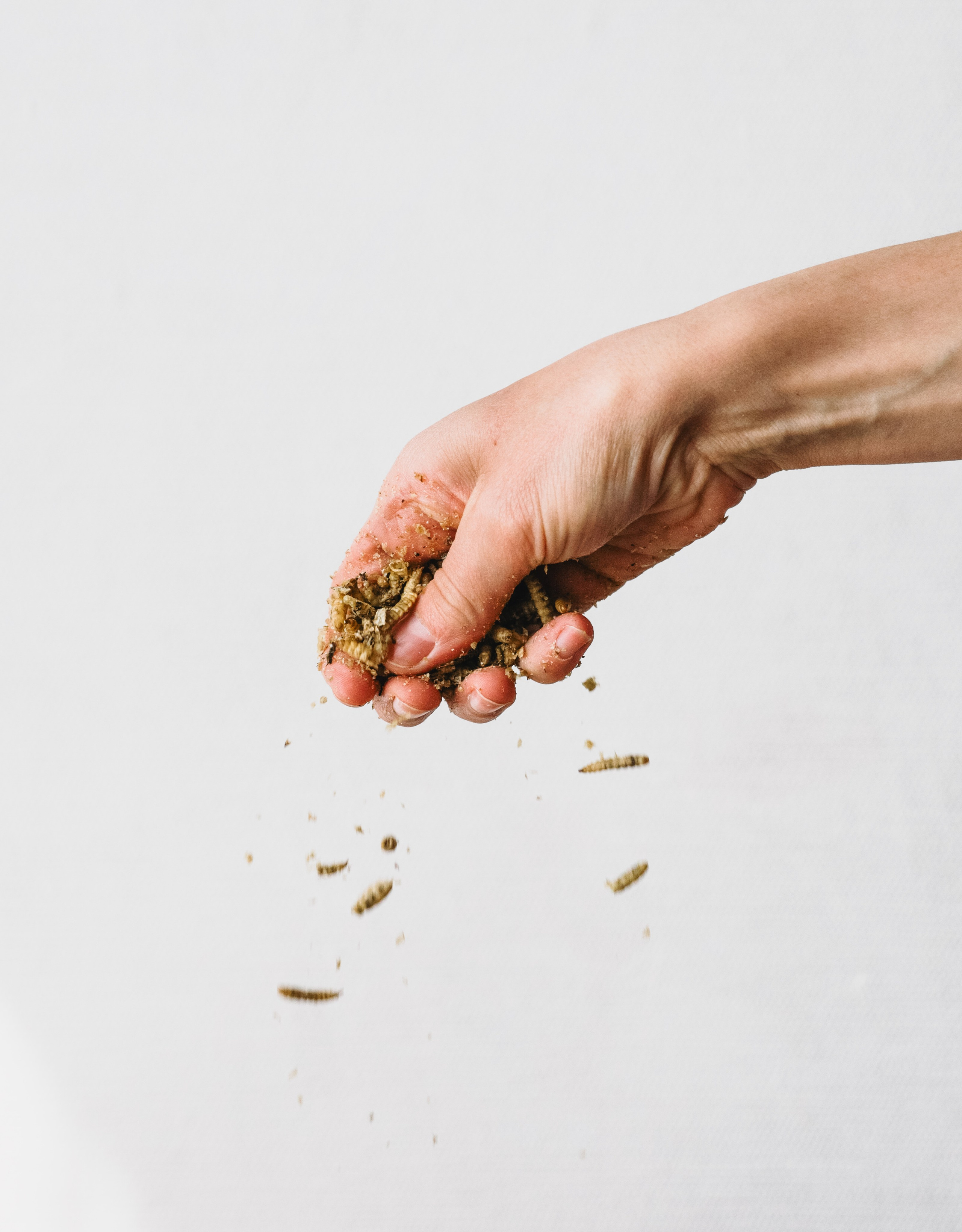 Корм для животных. Алёна Стерхова — Предметный и портретный фотограф. Ижевск