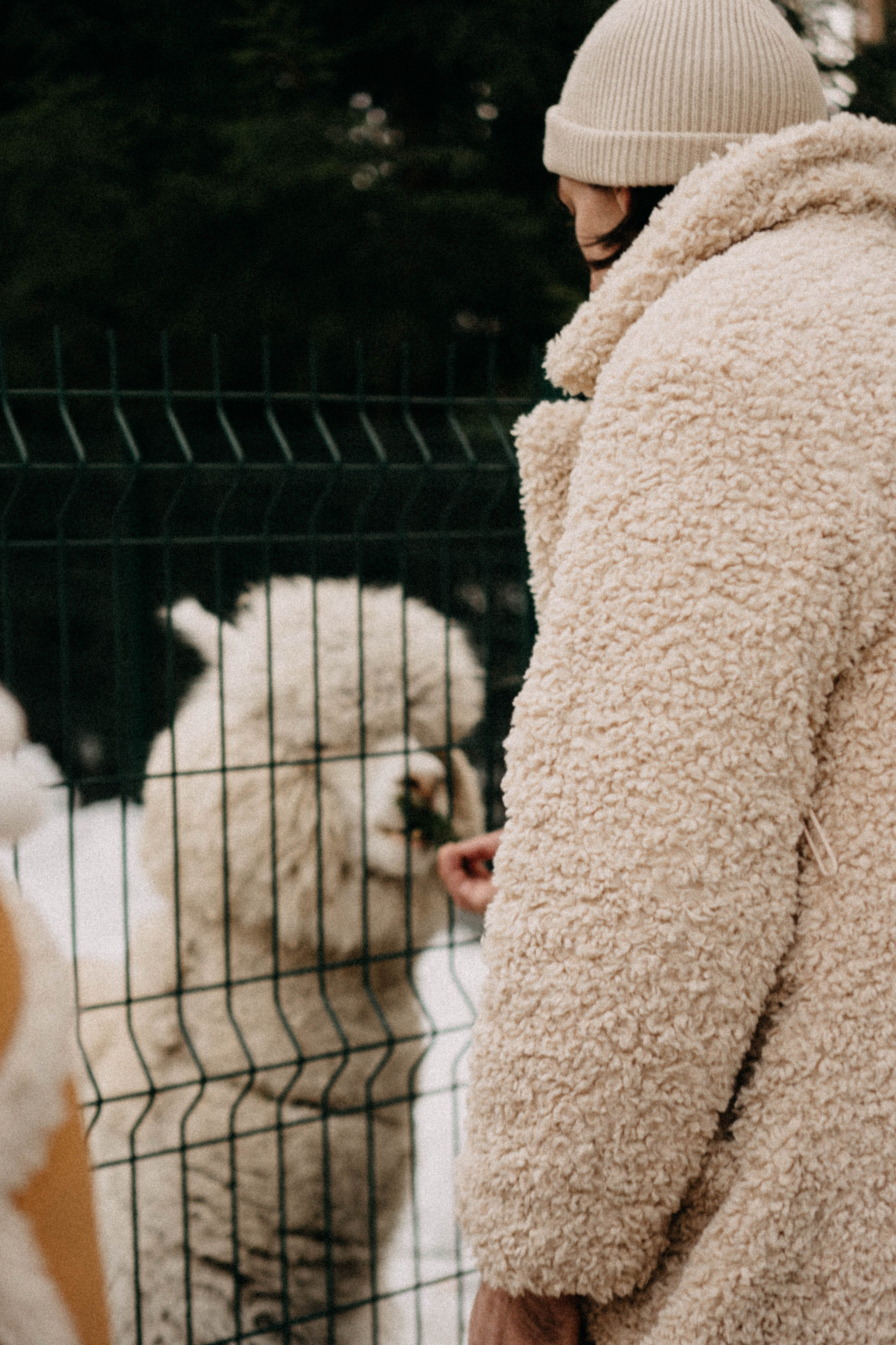 Каток. Профессиональный фотограф, Санкт-Петербург — Виктория Богомолова