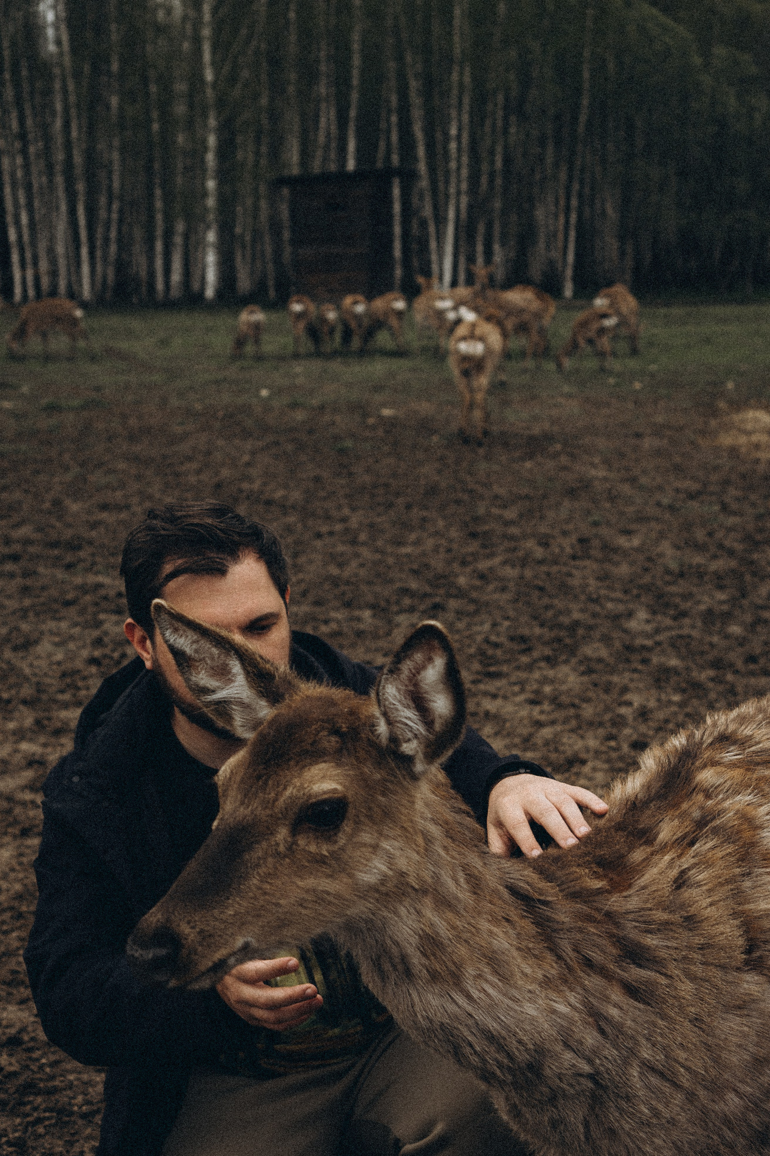 ОЛЕНЬЯ ФЕРМА В ТВЕРИ. Профессиональный фотограф, Санкт-Петербург — Виктория Богомолова