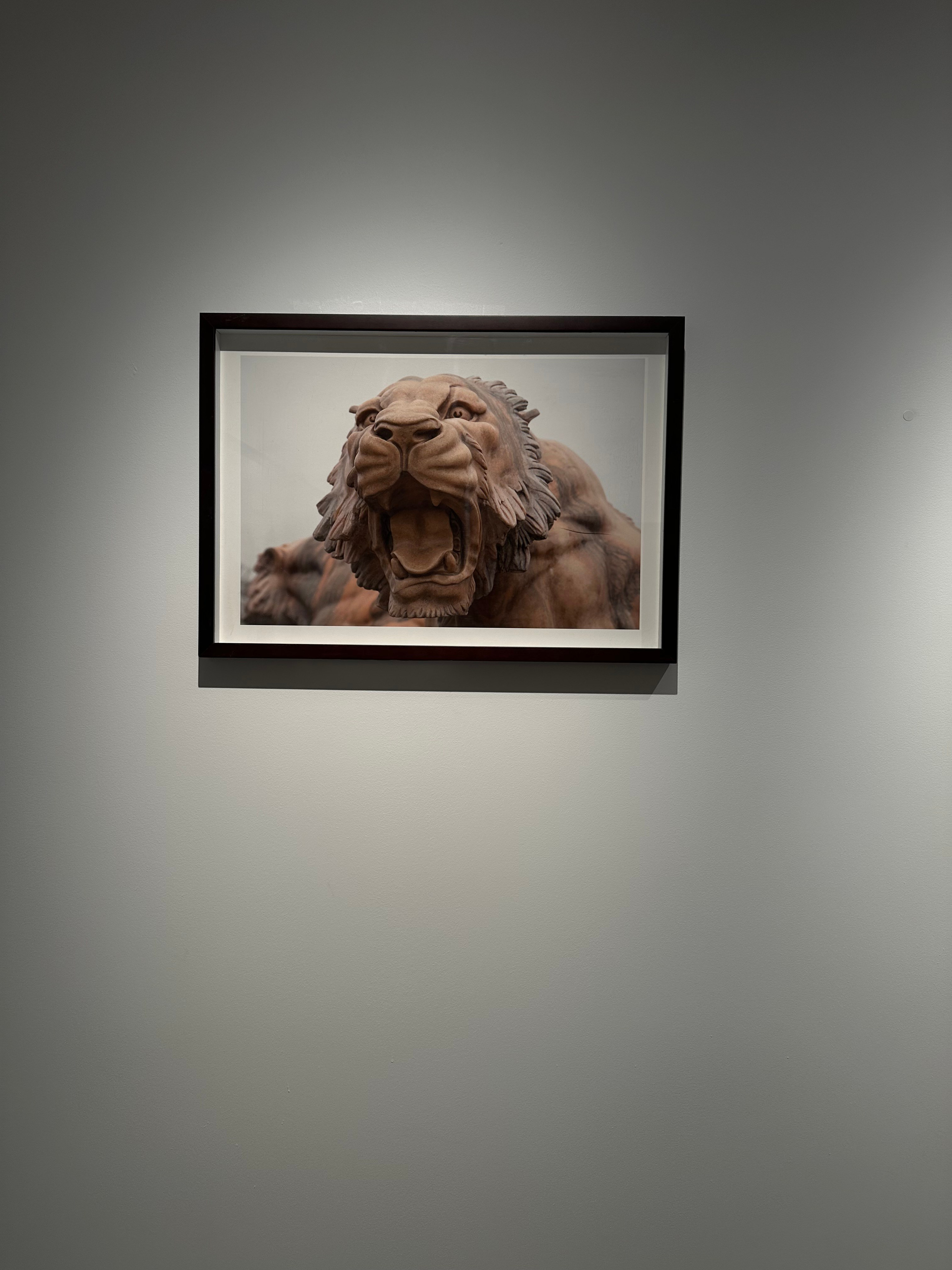 Выставка Чересчур. Фотосессии и репортаж — Фотограф в Москве — Рина Серёгина