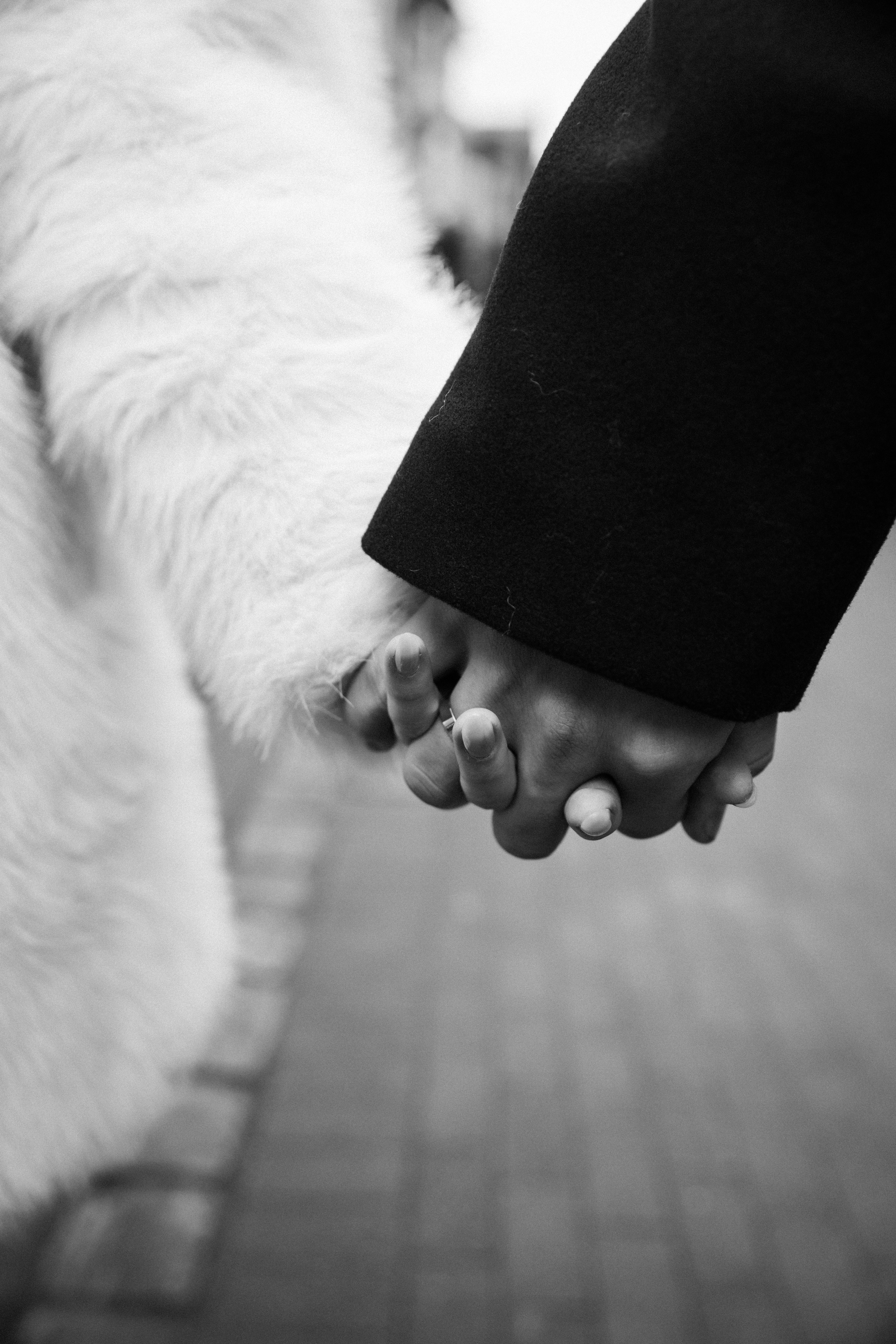 Свадьба в канун Нового года. Фотограф Зеленоградск Красильникова Елена