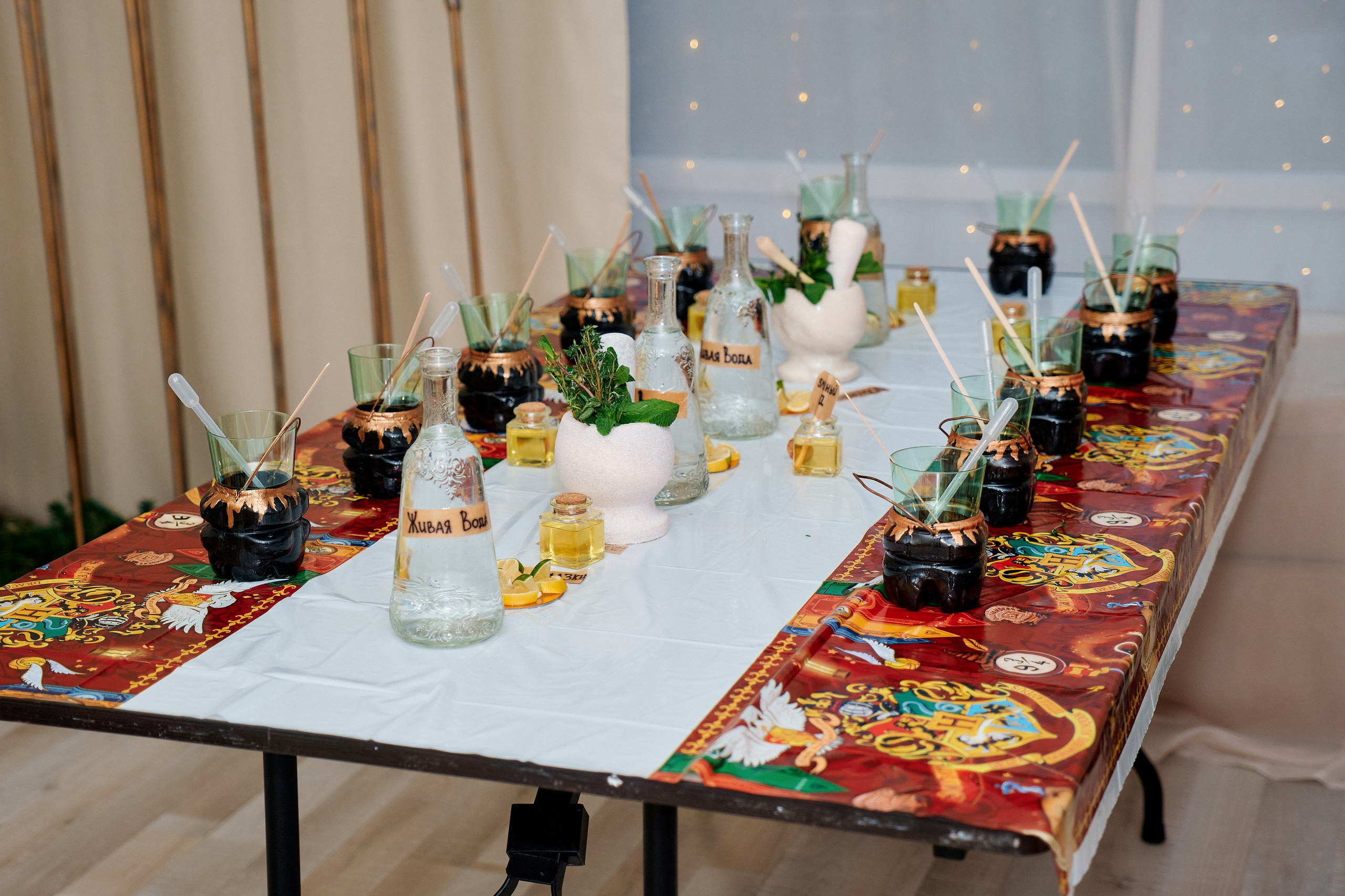 День рождения стиле Гарри Поттер. Фотограф Таганрог Анна Трайжон